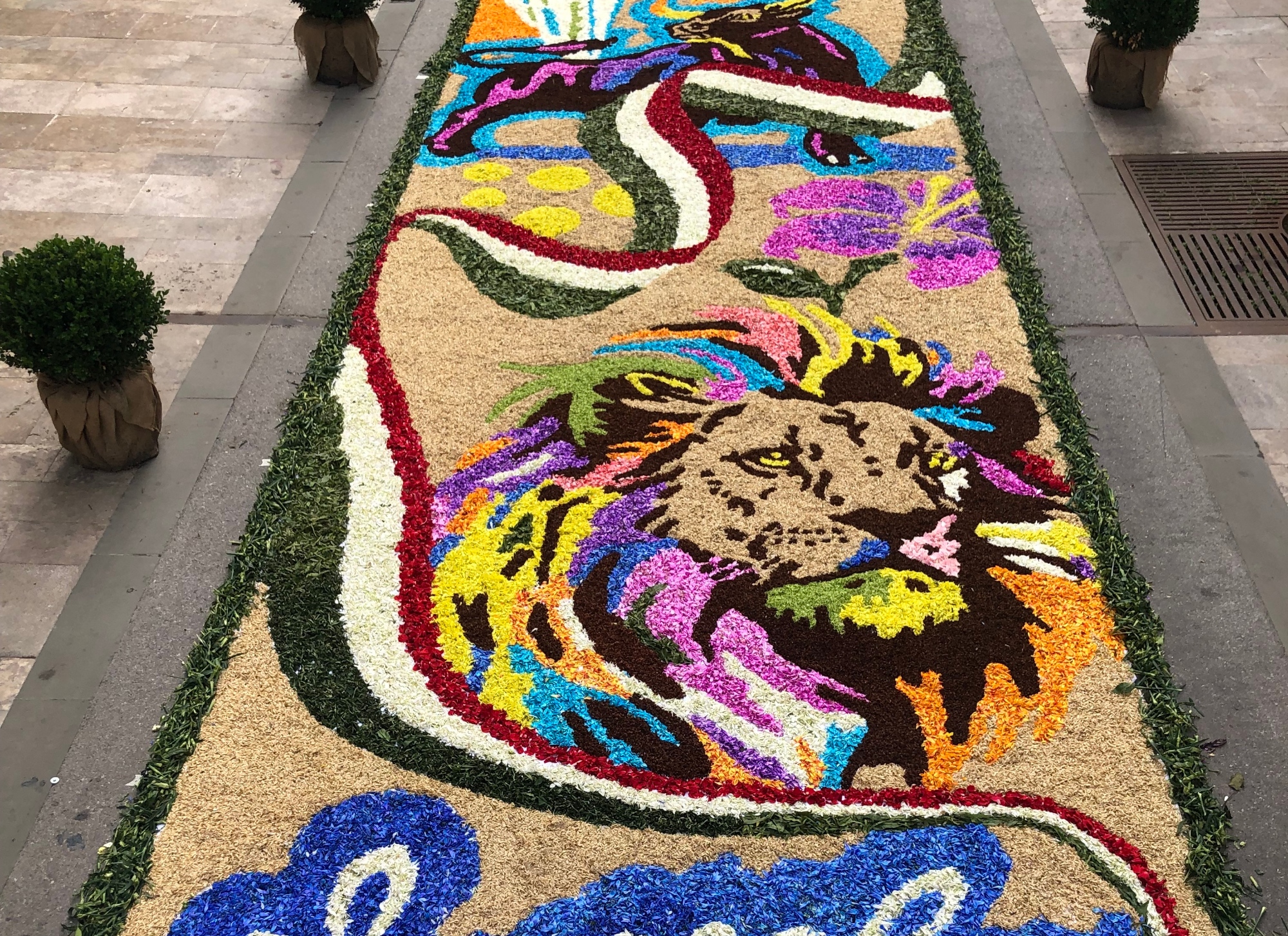 Infiorata di Fucecchio