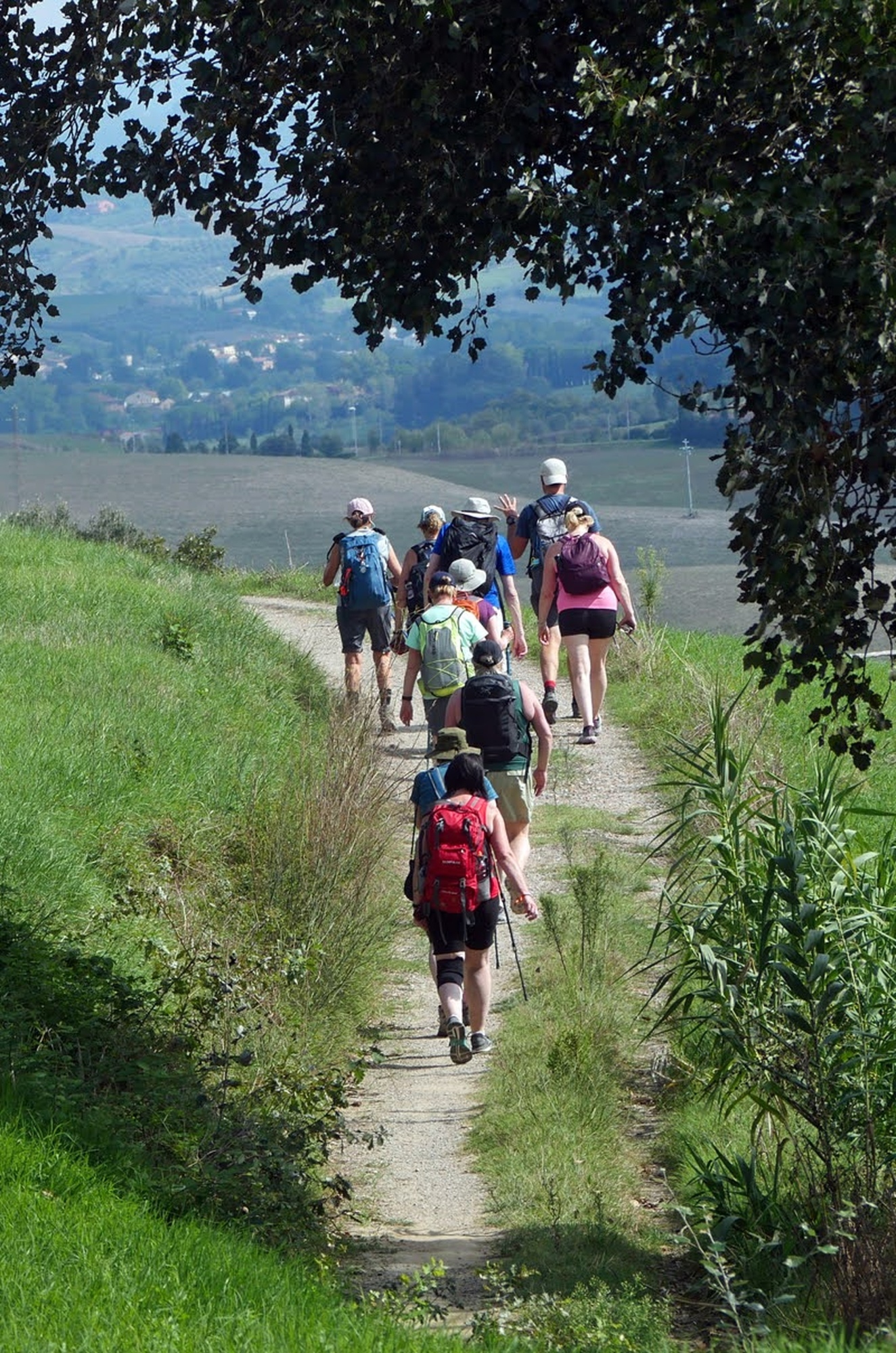 ia Francigena in Monteriggioni