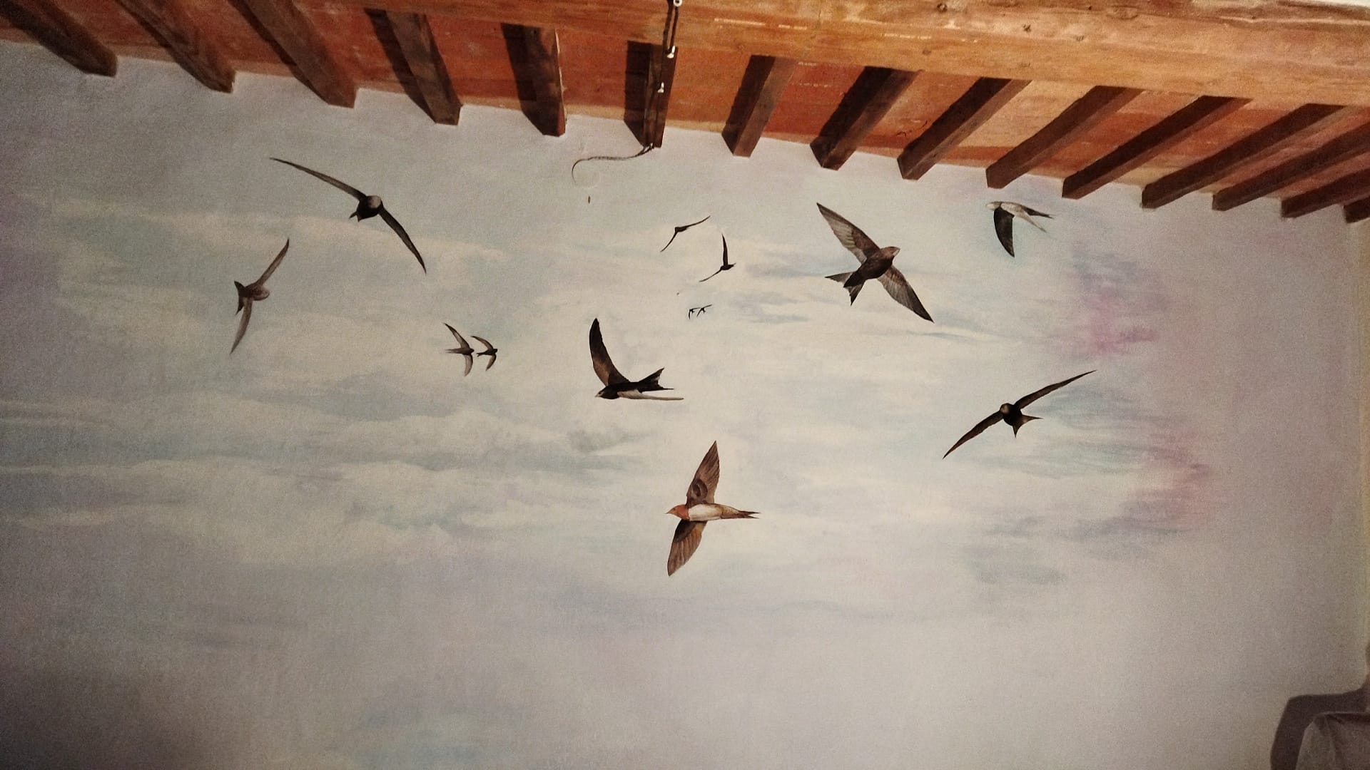 I Rondoni a Casa del Rondone