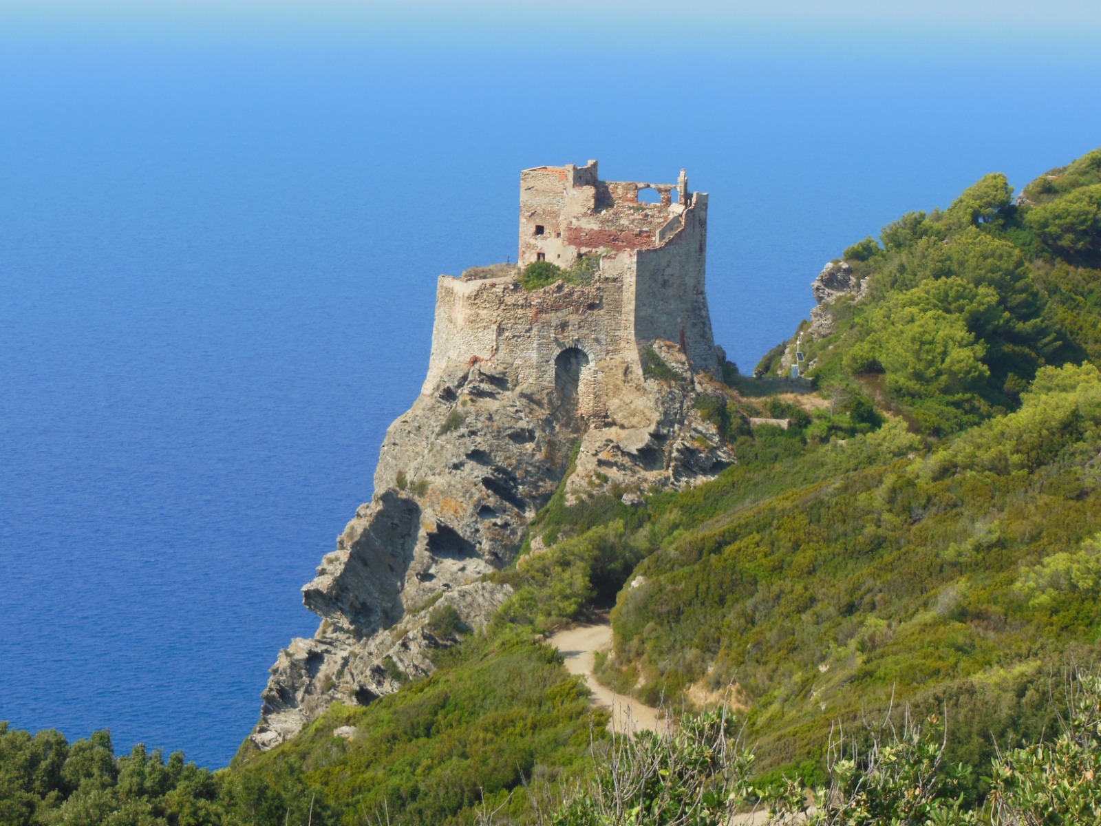 Escursione all'isola di Gorgona