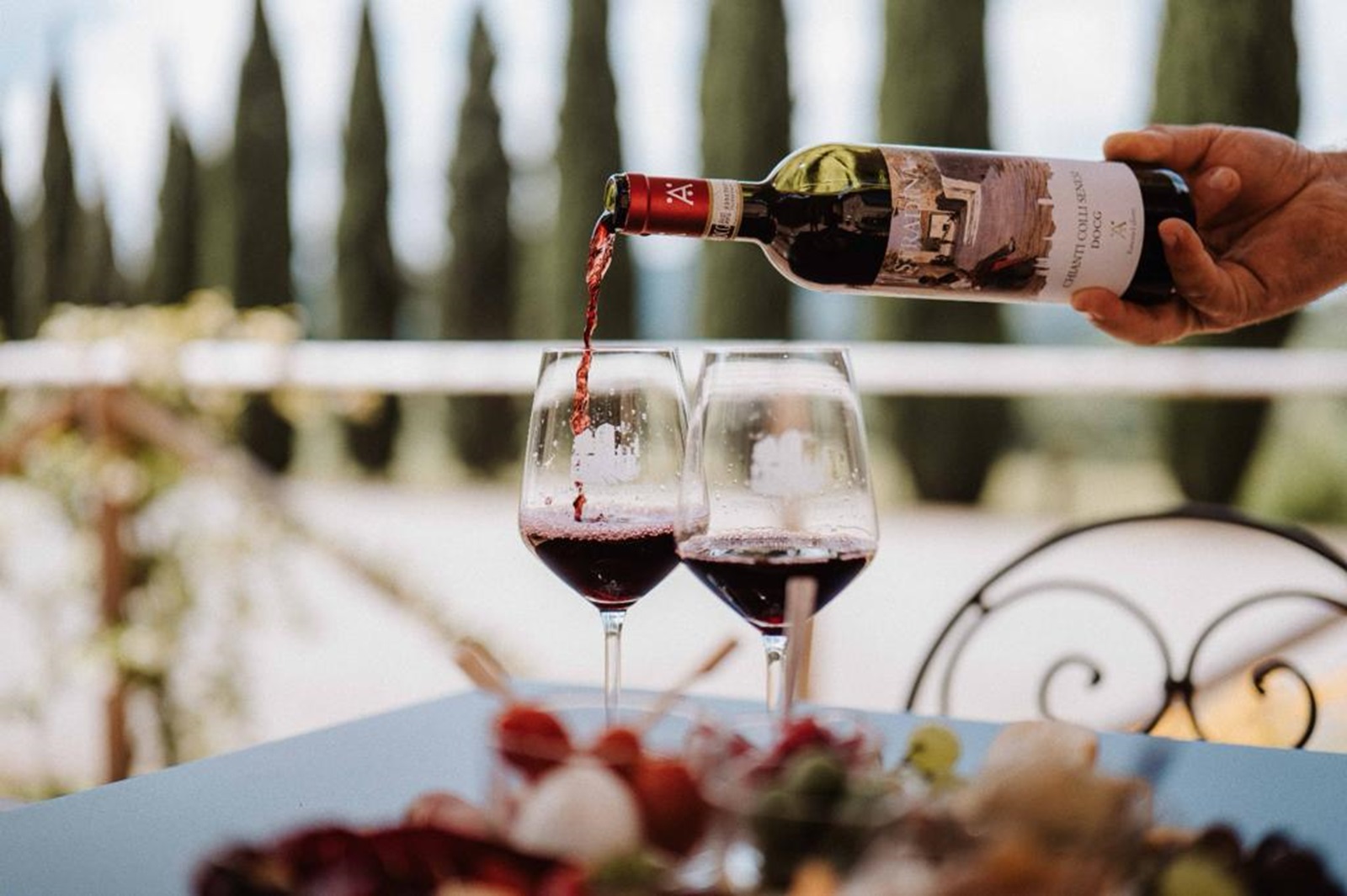 Tasting of the most representative wines produced by Fattoria La Torre