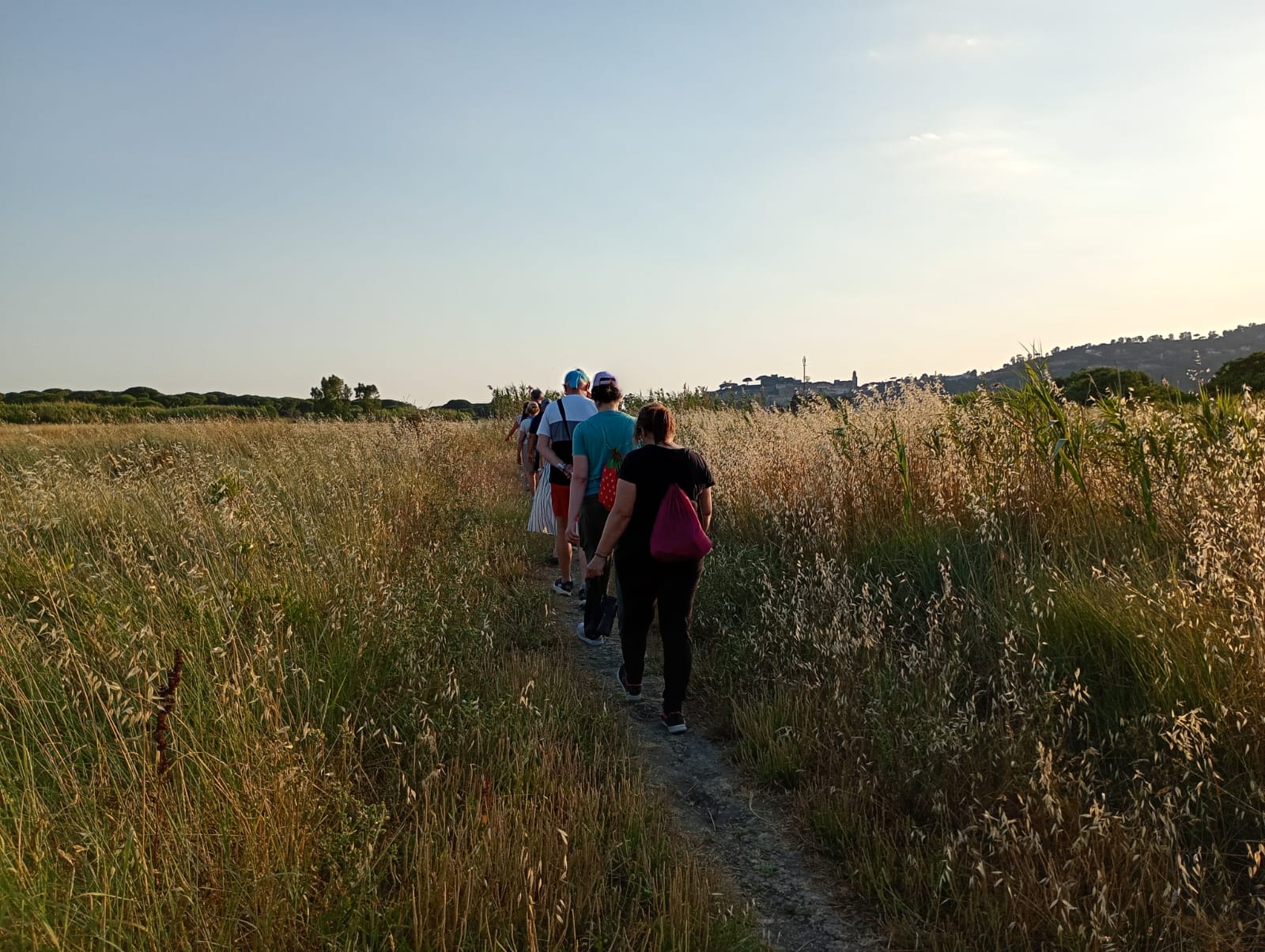 Immagine di un gruppo di persone che camminano in fila in campagna, al tramonto