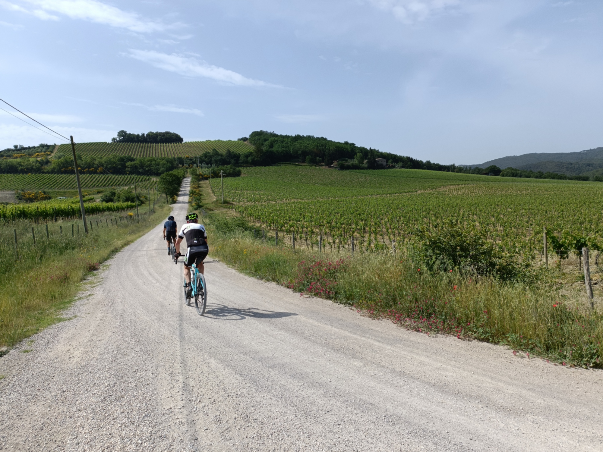 Tour giornaliero in bici nelle terre del Brunello con degustazione