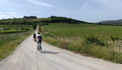 Brunello e Montalcino Bike tour