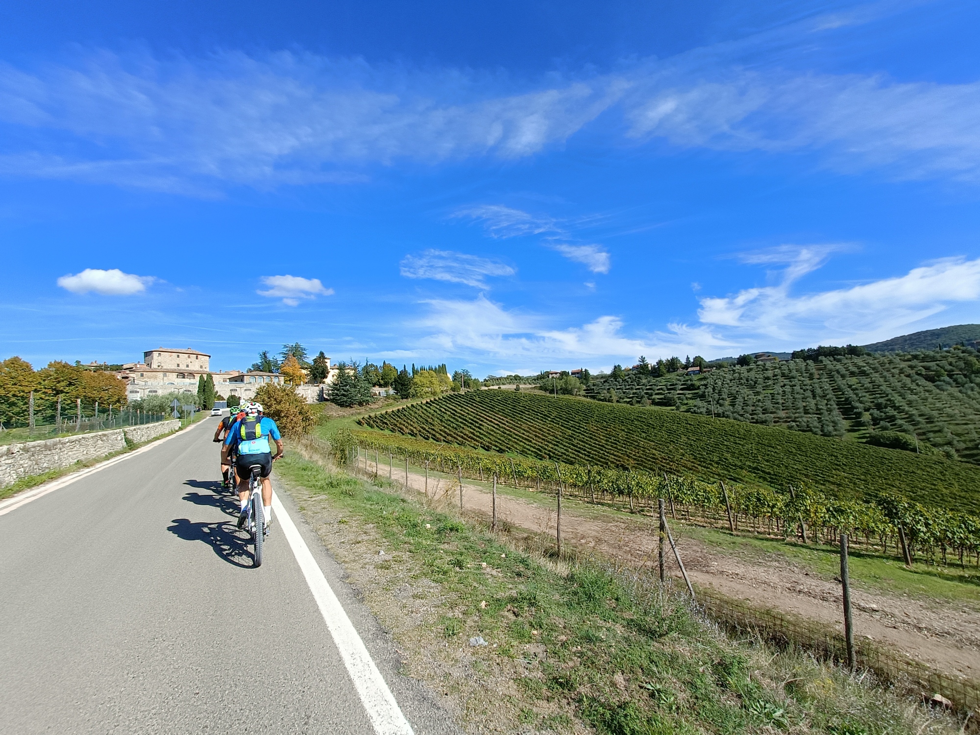 Tour giornaliero in bici nel Chianti con degustazione