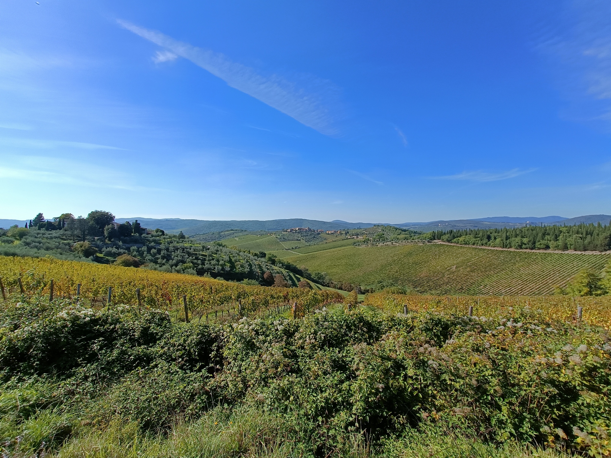 Hills near Florence