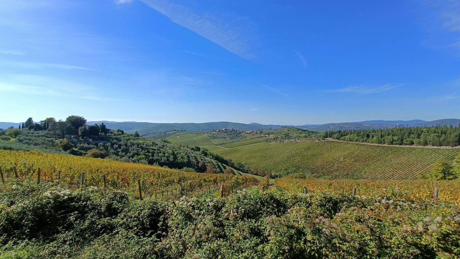 Hills near Florence