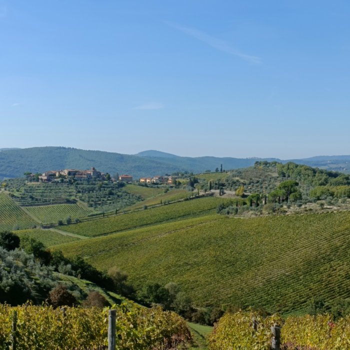 3-day bike tour from Florence to Siena 3-day bike tour from Florence to Siena