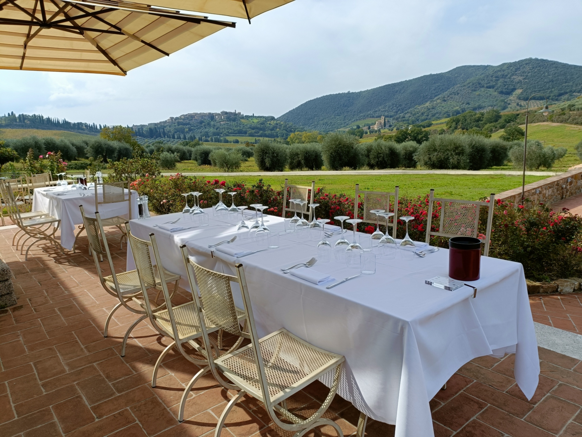 Brunello wine tasting