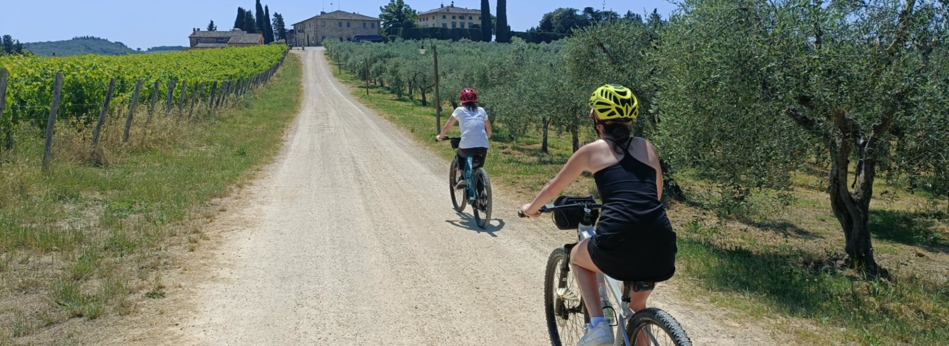 Guided day bike tour in Chianti from Florence Guided day bike tour in Chianti from Florence