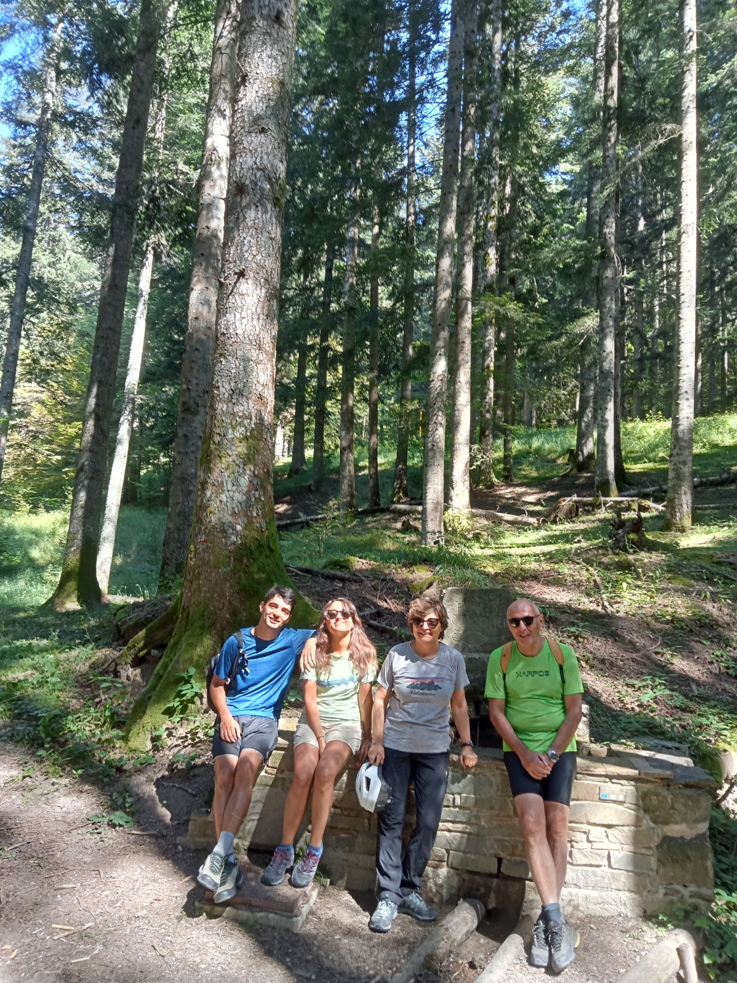 Sosta nella foresta di abeti durante l'escursione a Campigna nel Casentino
