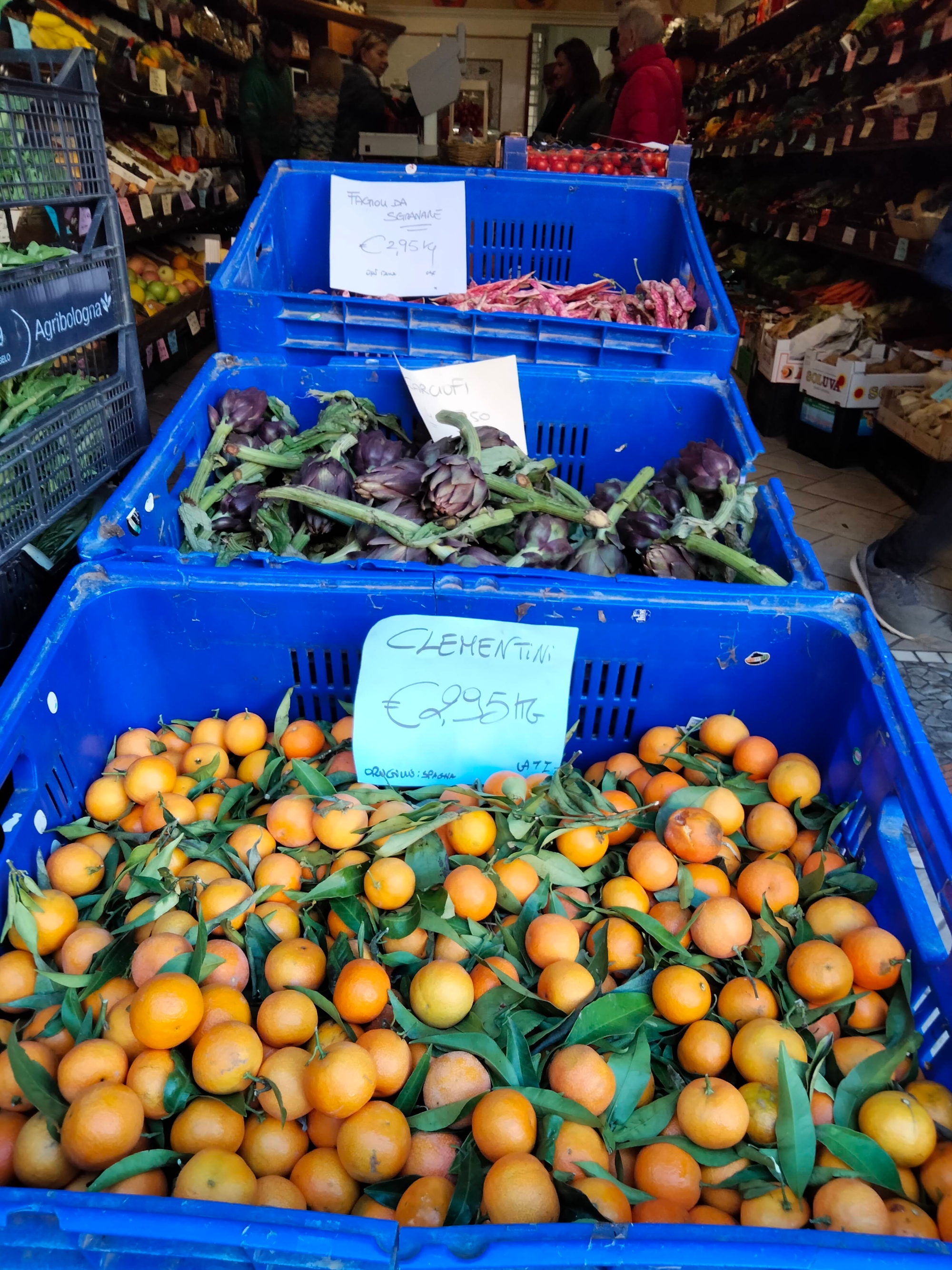 Flavors of Lucca with market tour