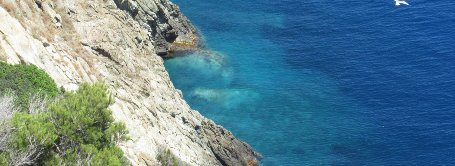 Visita a Gorgona Visita a Gorgona