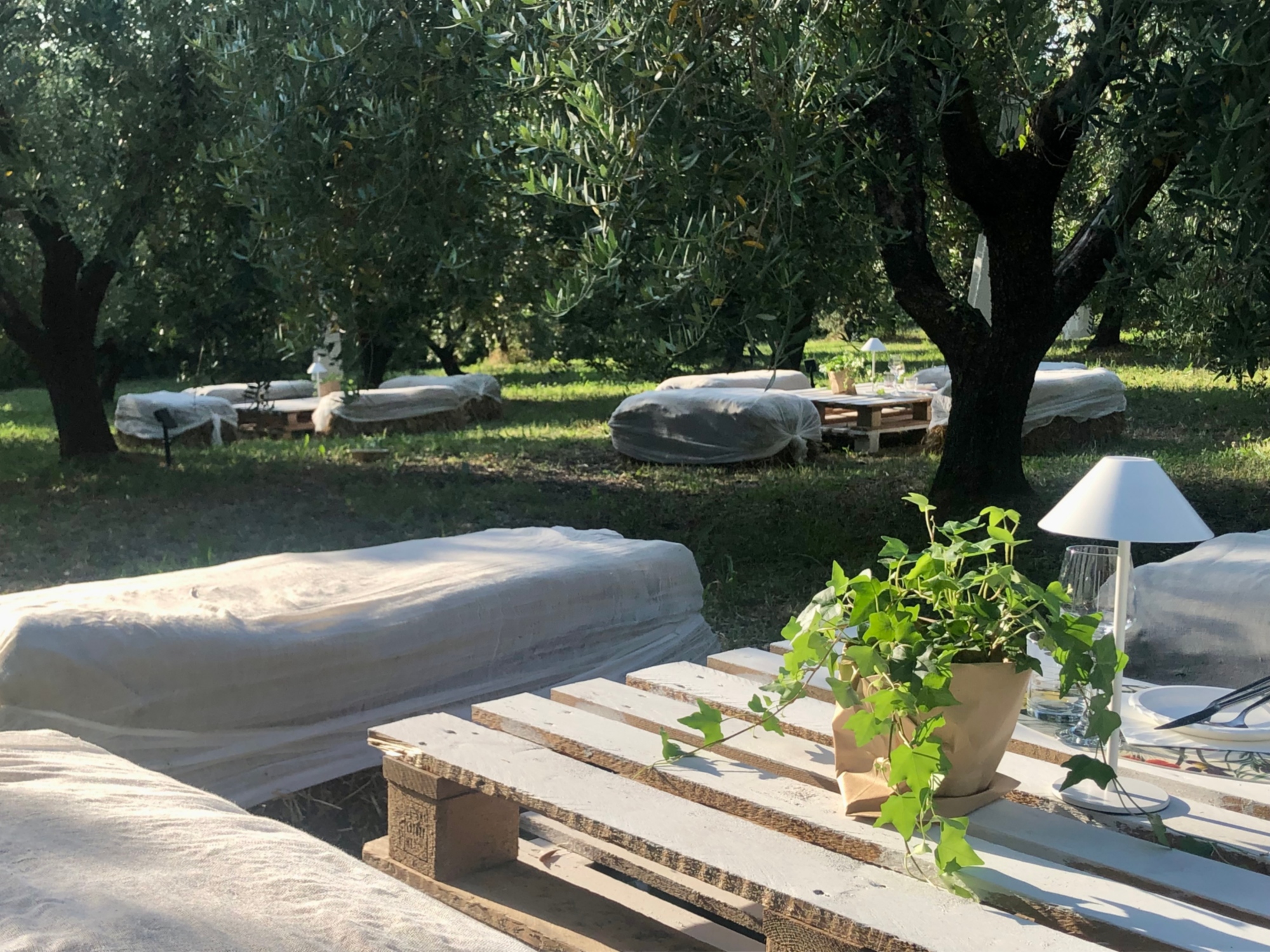 Apericena in oliveta