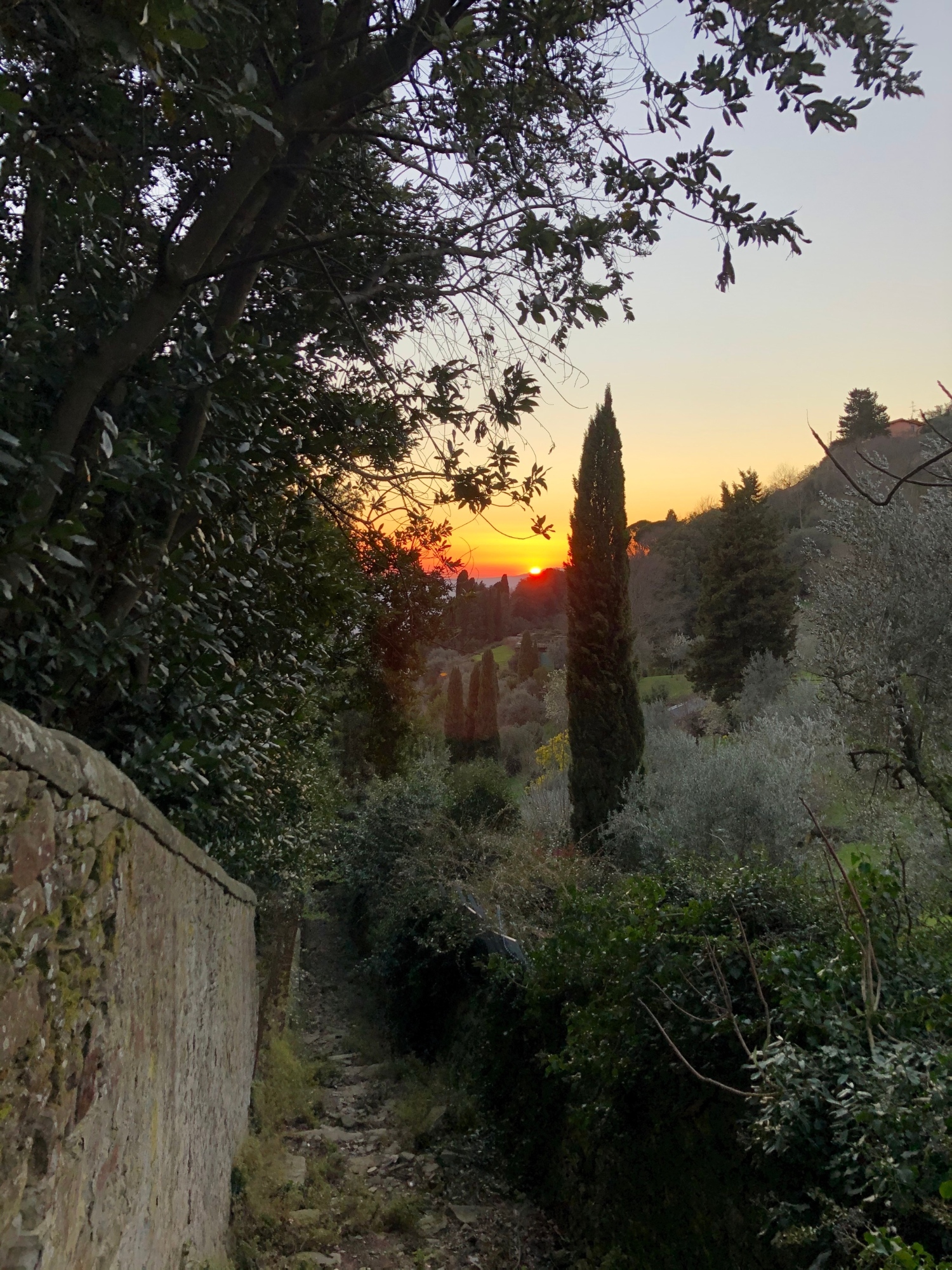 Walking in the hills of Florence