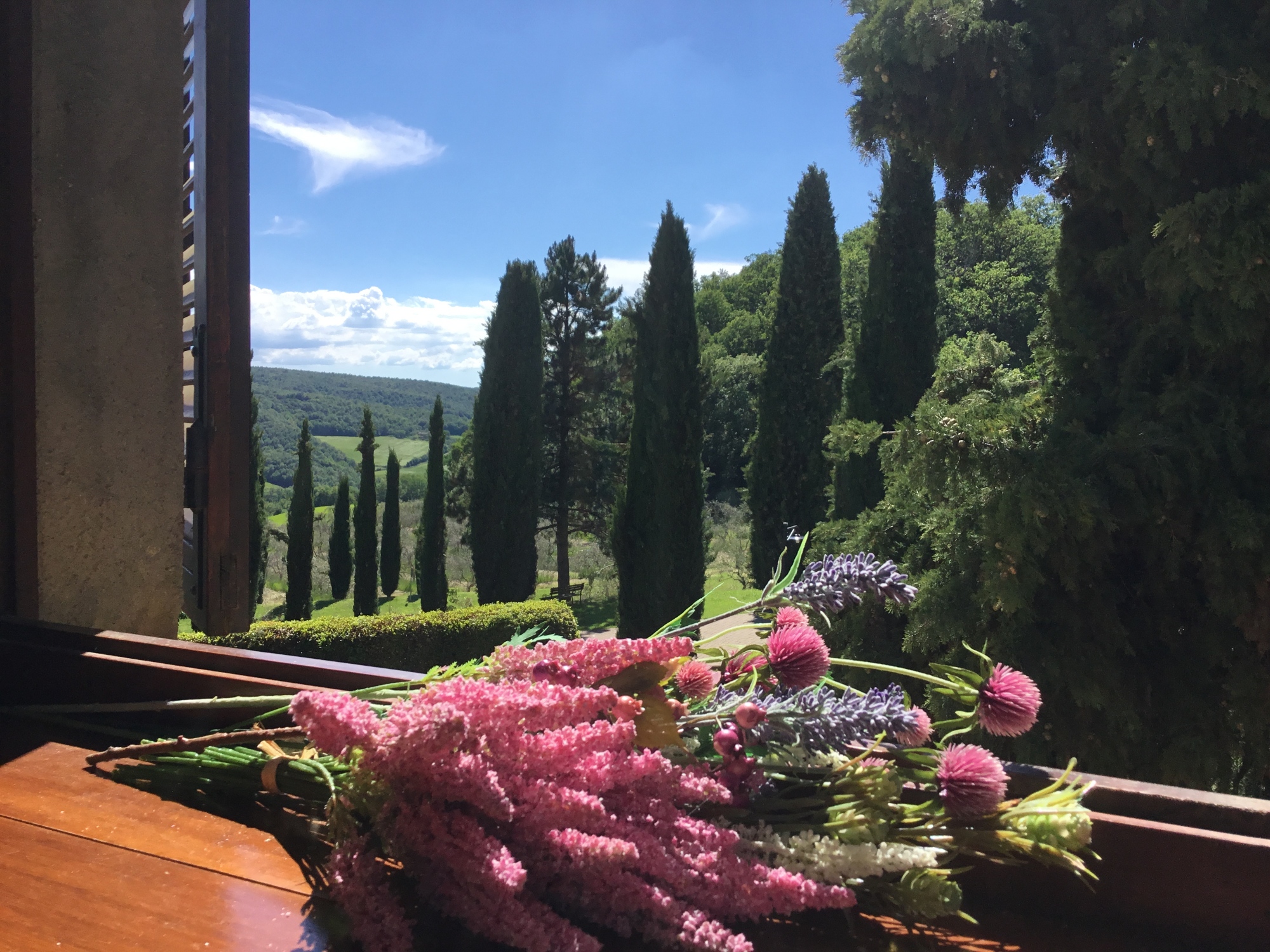 Vista del giardino da un appartamento
