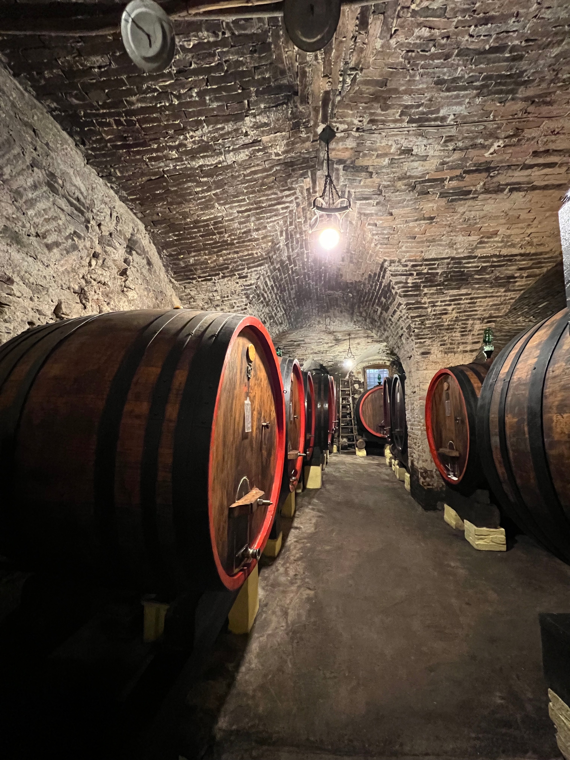Full day experience in Montepulciano and Chianti wine areas