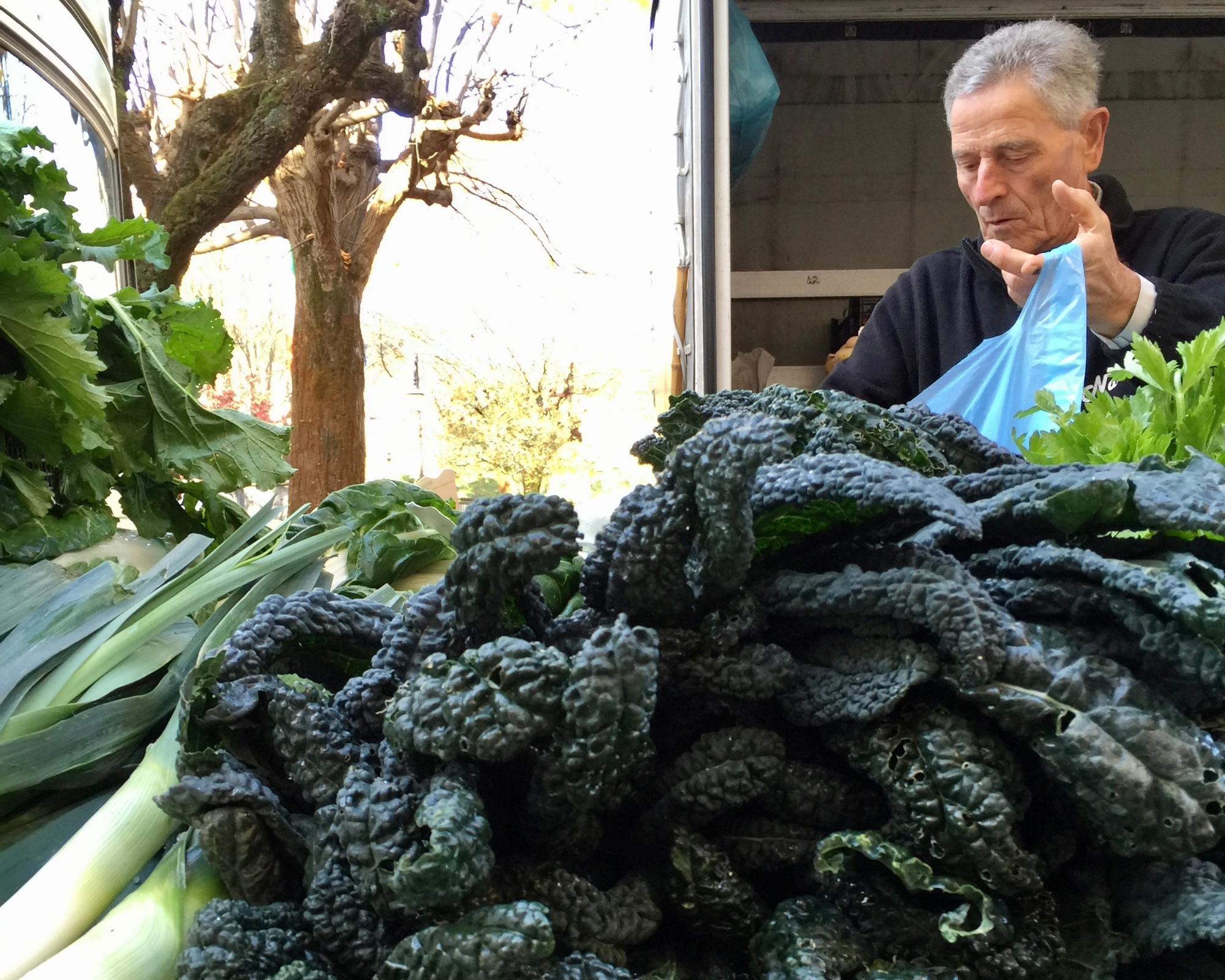 Cavolo nero