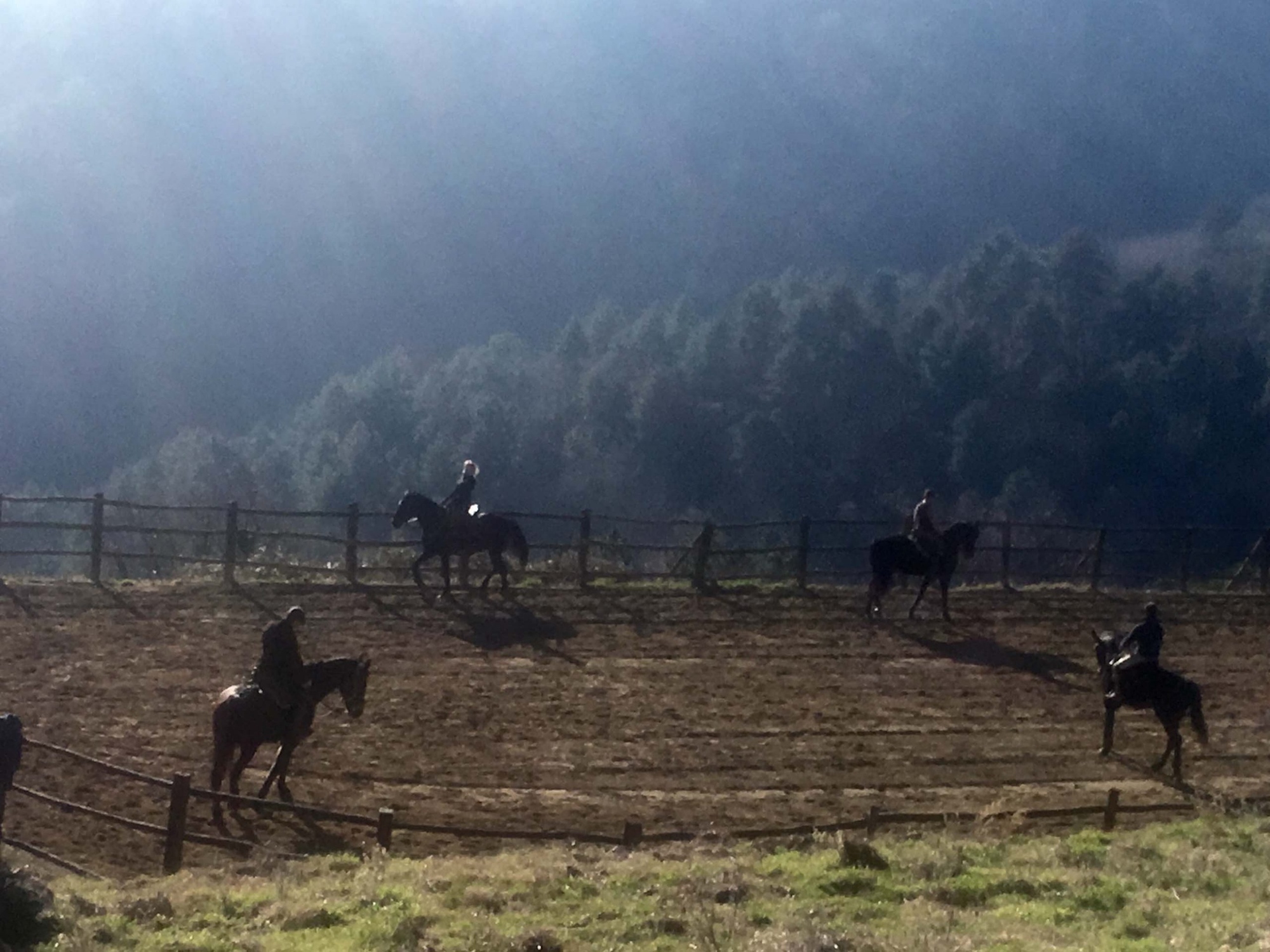 A relaxing weekend between horses, wineries and beauty