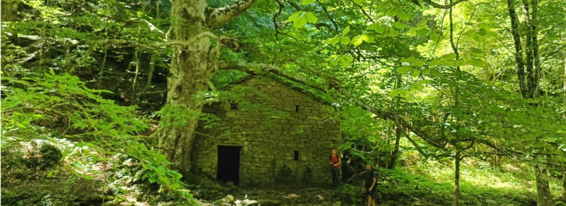 Cinque giorni in cammino fra Toscana e Romagna sulle orme di Dino Campana e Sibilla Aleramo Cinque giorni in cammino fra Toscana e Romagna sulle orme di Dino Campana e Sibilla Aleramo