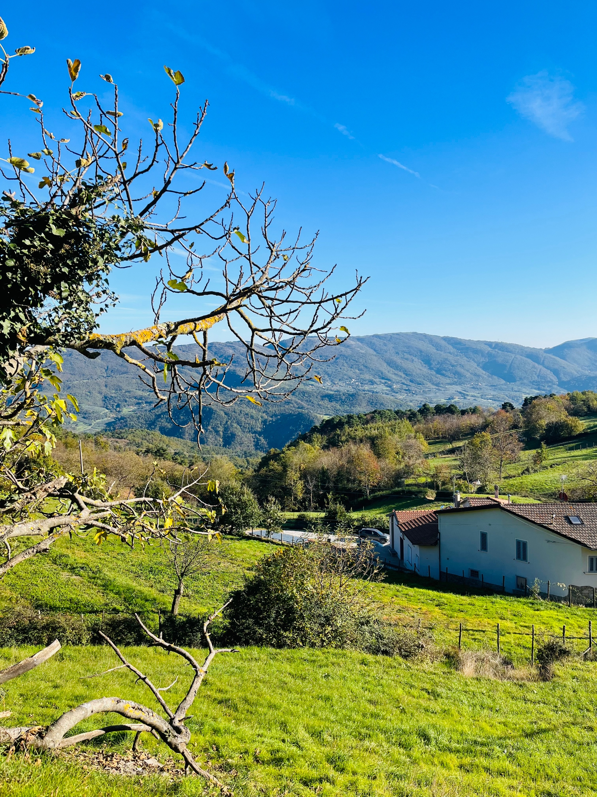 Trekking autunnale sulla via dei Tabernacoli alle Cannicciaie