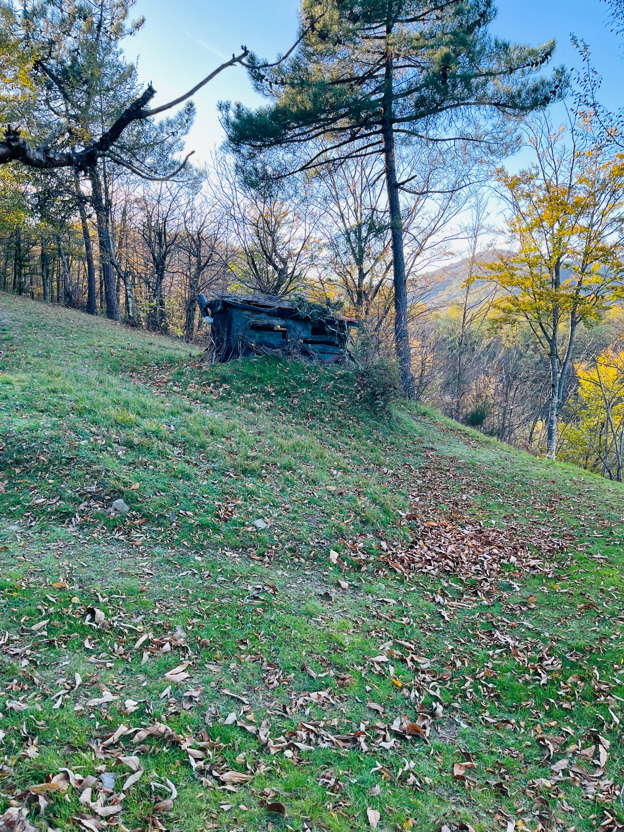 Trekking autunnale sulla via dei Tabernacoli alle Cannicciaie