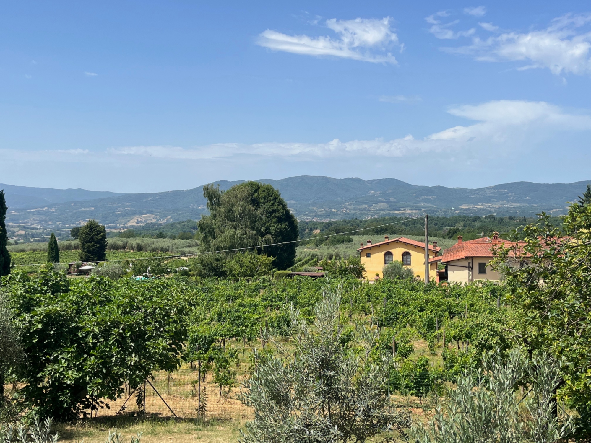 Azienda Agricola San Jacopo vacanze a Reggello