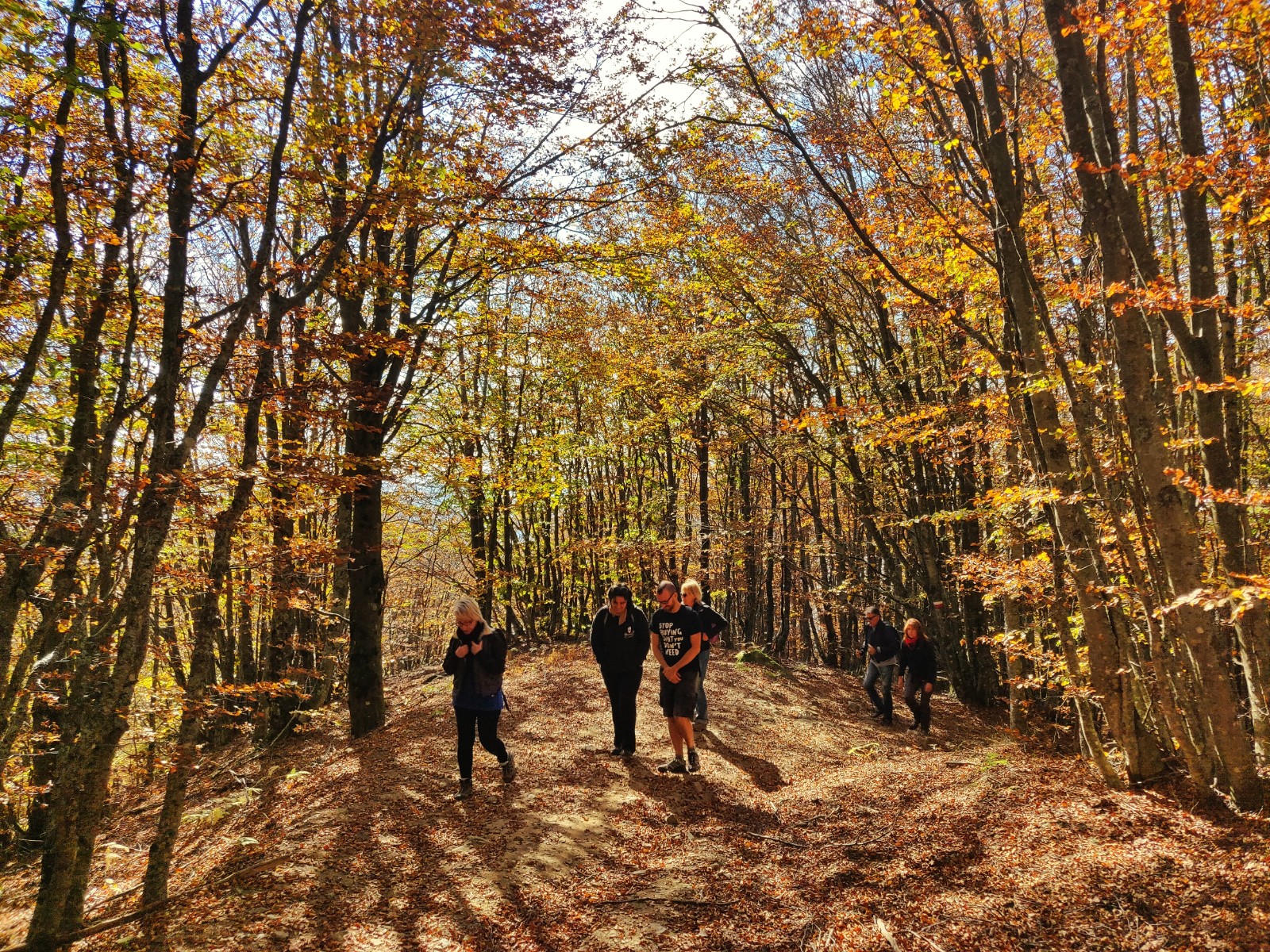 Parco Nazionale delle foreste casentinesi