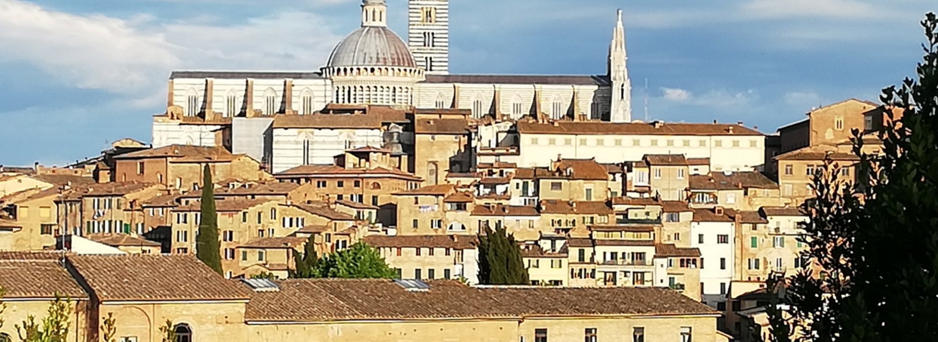 Siena e la sua Cattedrale