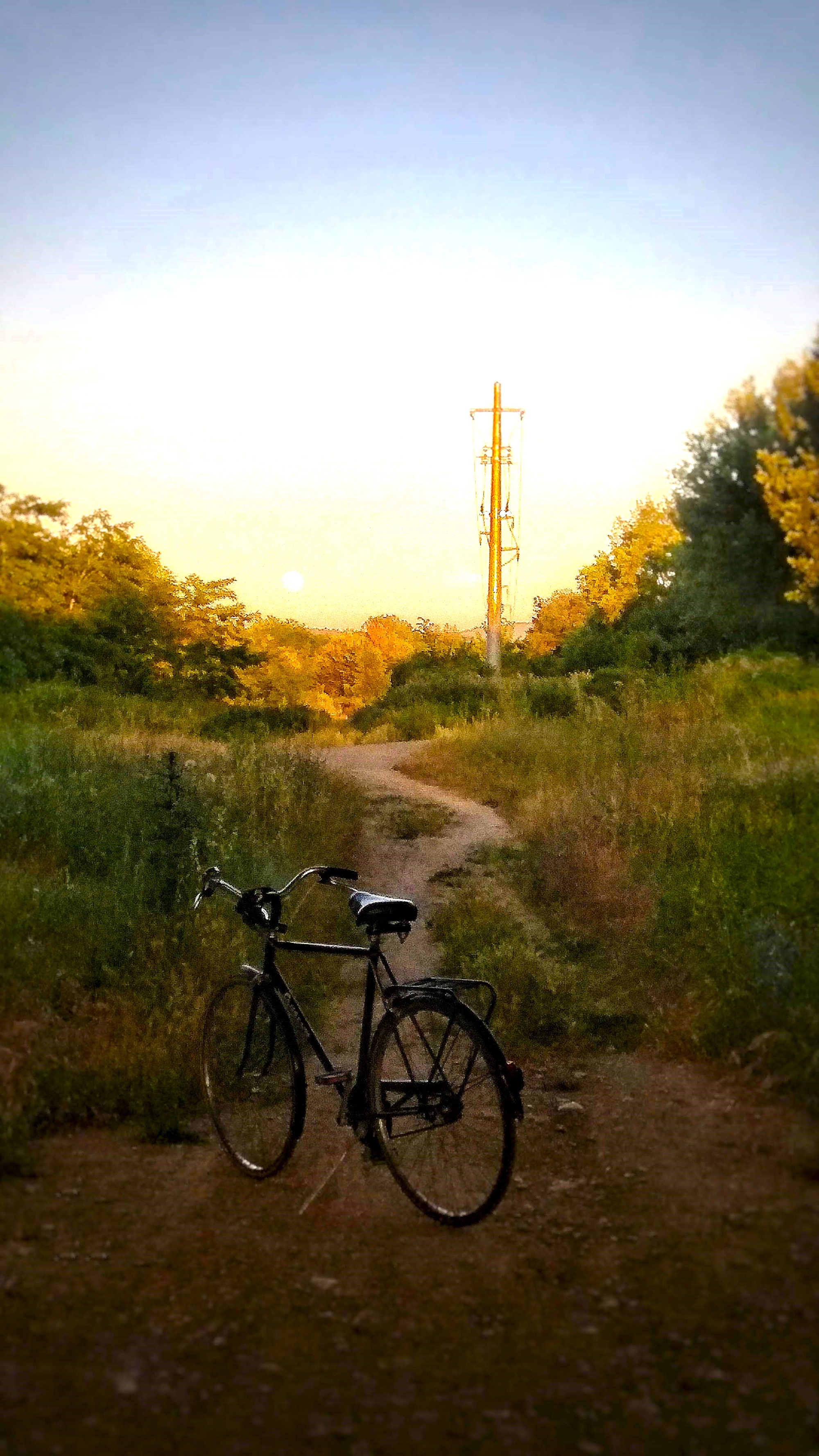 Biciclettata lungo l'Arno da Montevarchi a Figline Valdarno