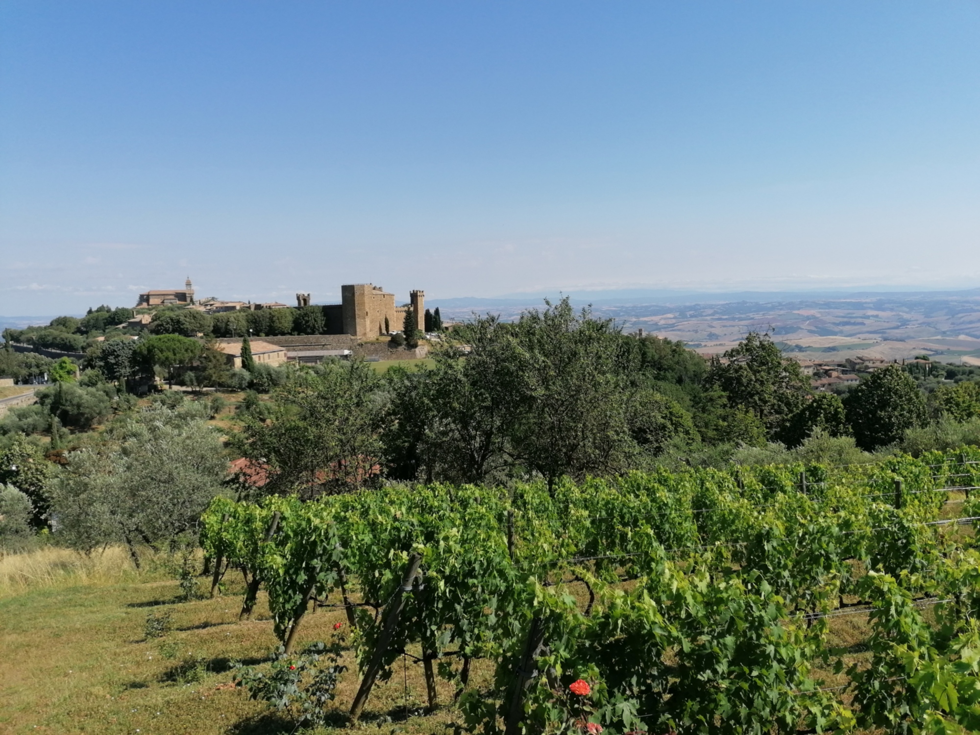 Tour giornaliero in bici nelle terre del Brunello con degustazione