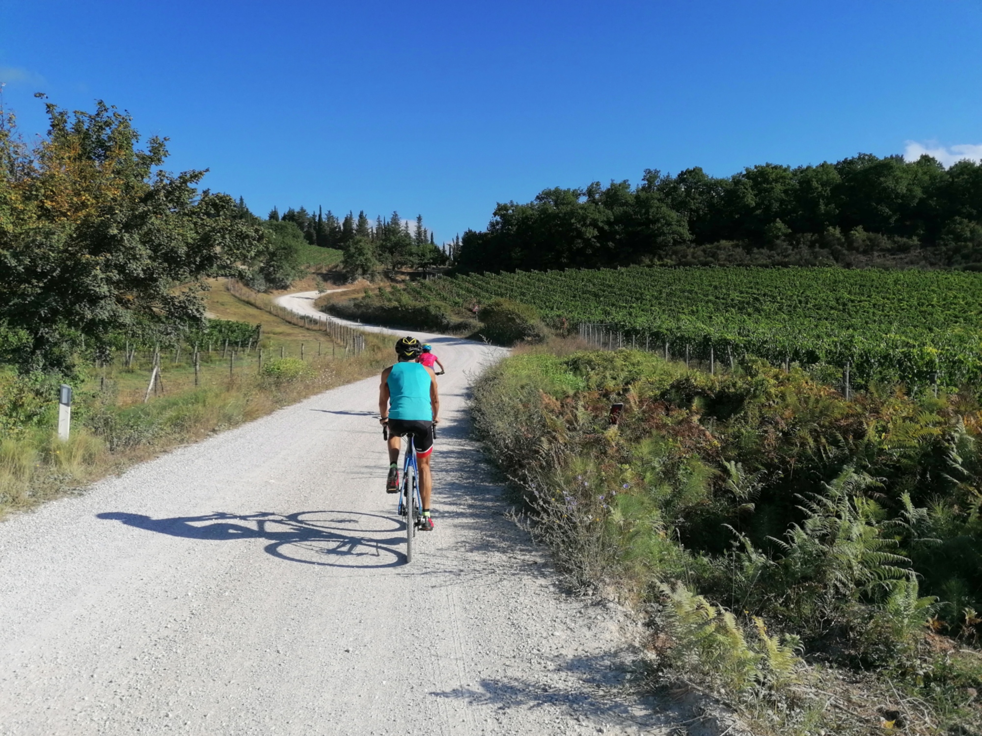 Four days from Siena on the route of Eroica and Strade Bianche