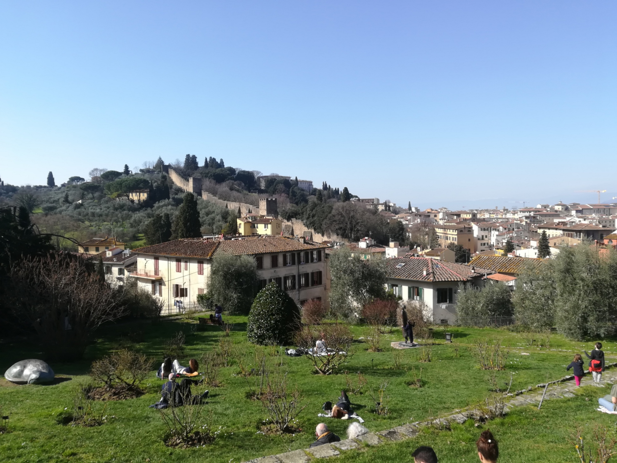 Dog trekking a Firenze