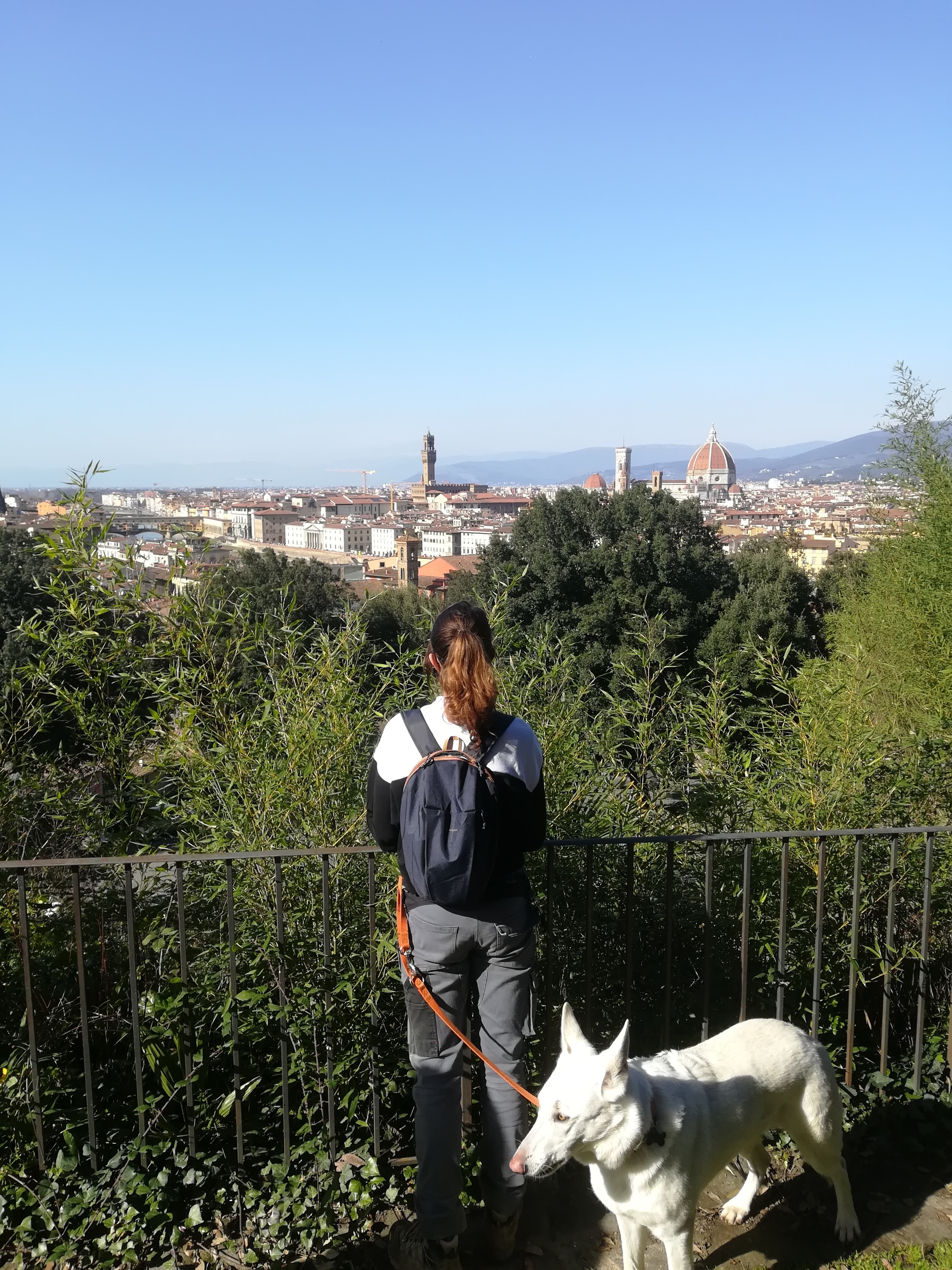 Tour panoramico dog friendly