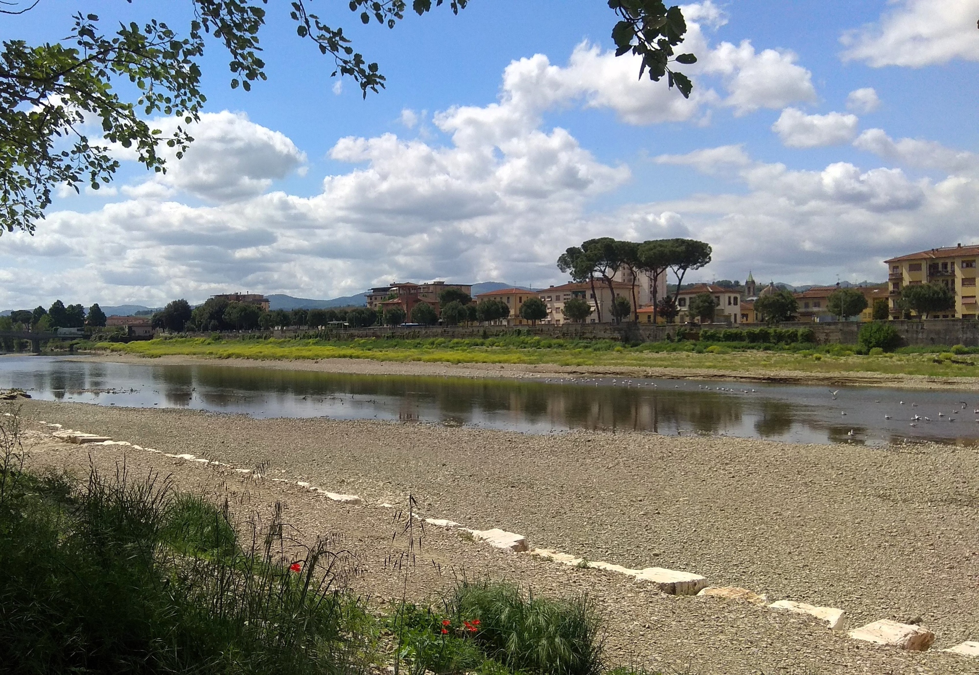 Biciclettata lungo l'Arno da Montevarchi a Figline Valdarno