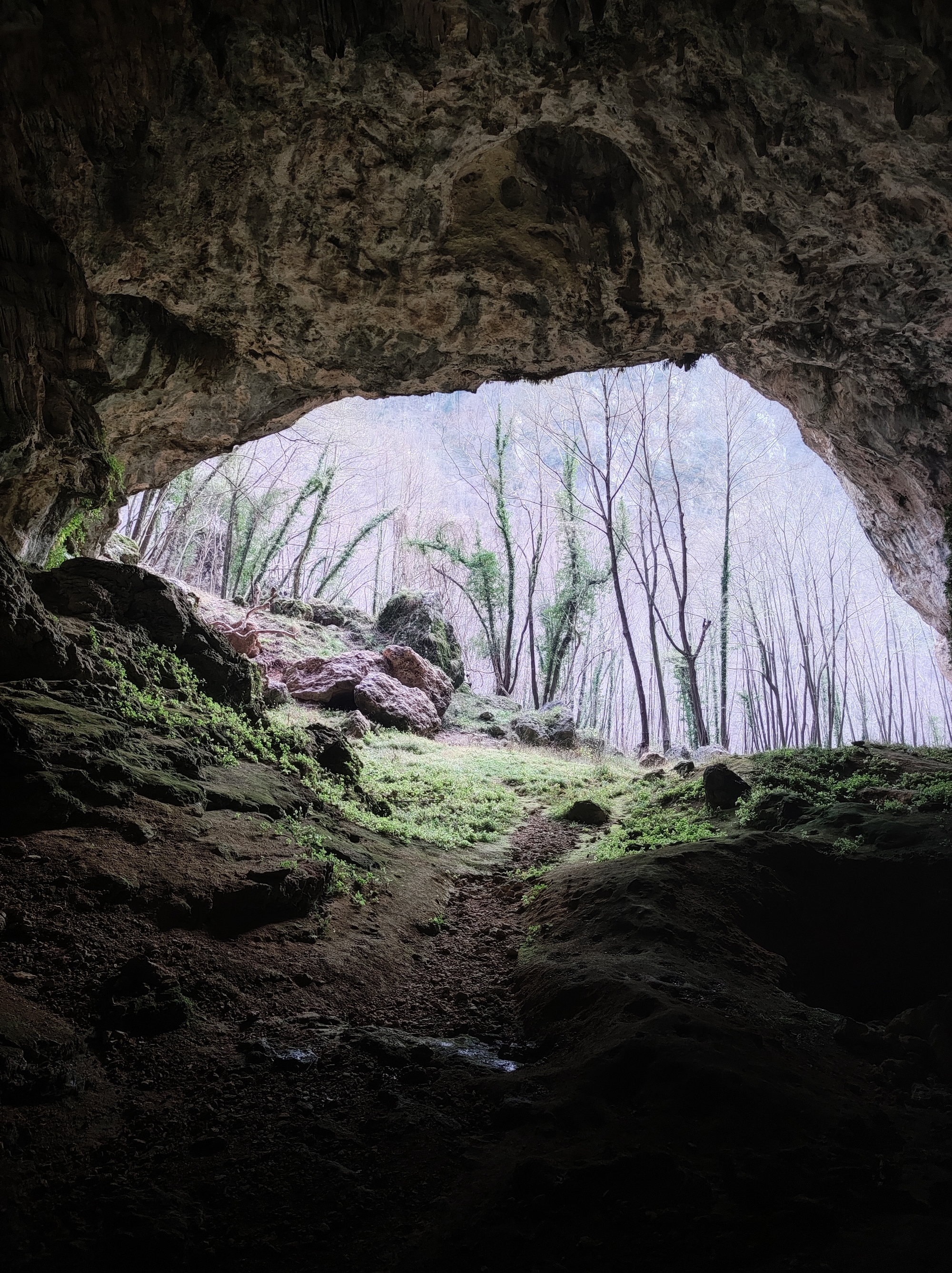 Tecchia di Tenerano