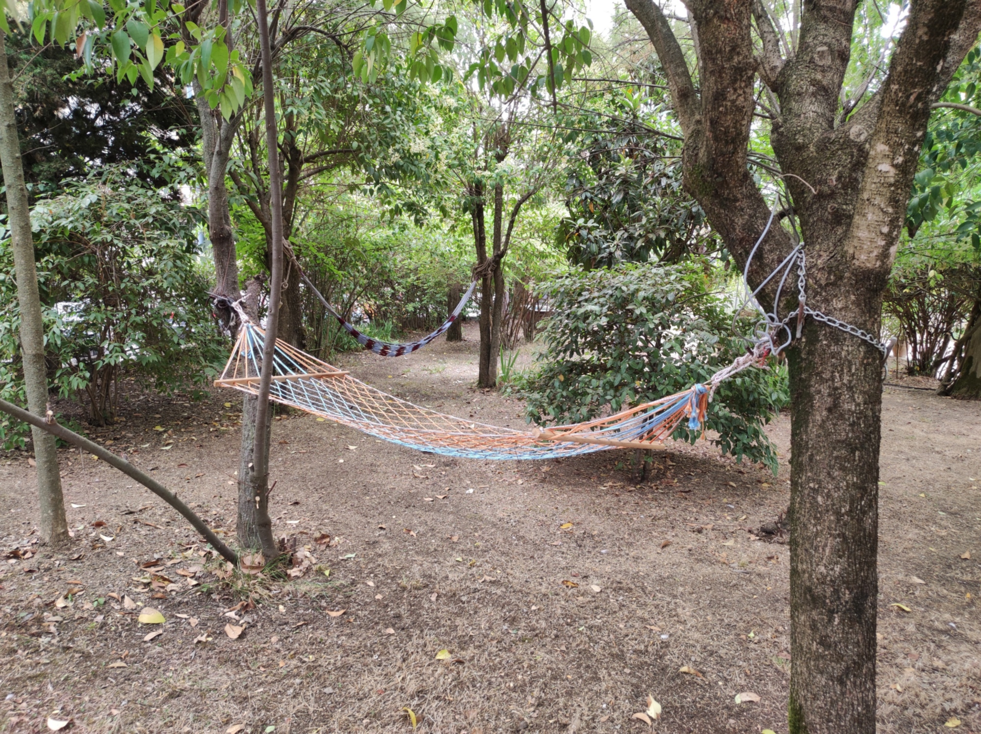 La Pineta, at Sinalunga, is the ideal location for those traveling by bike or bike and want to visit the Valdichiana