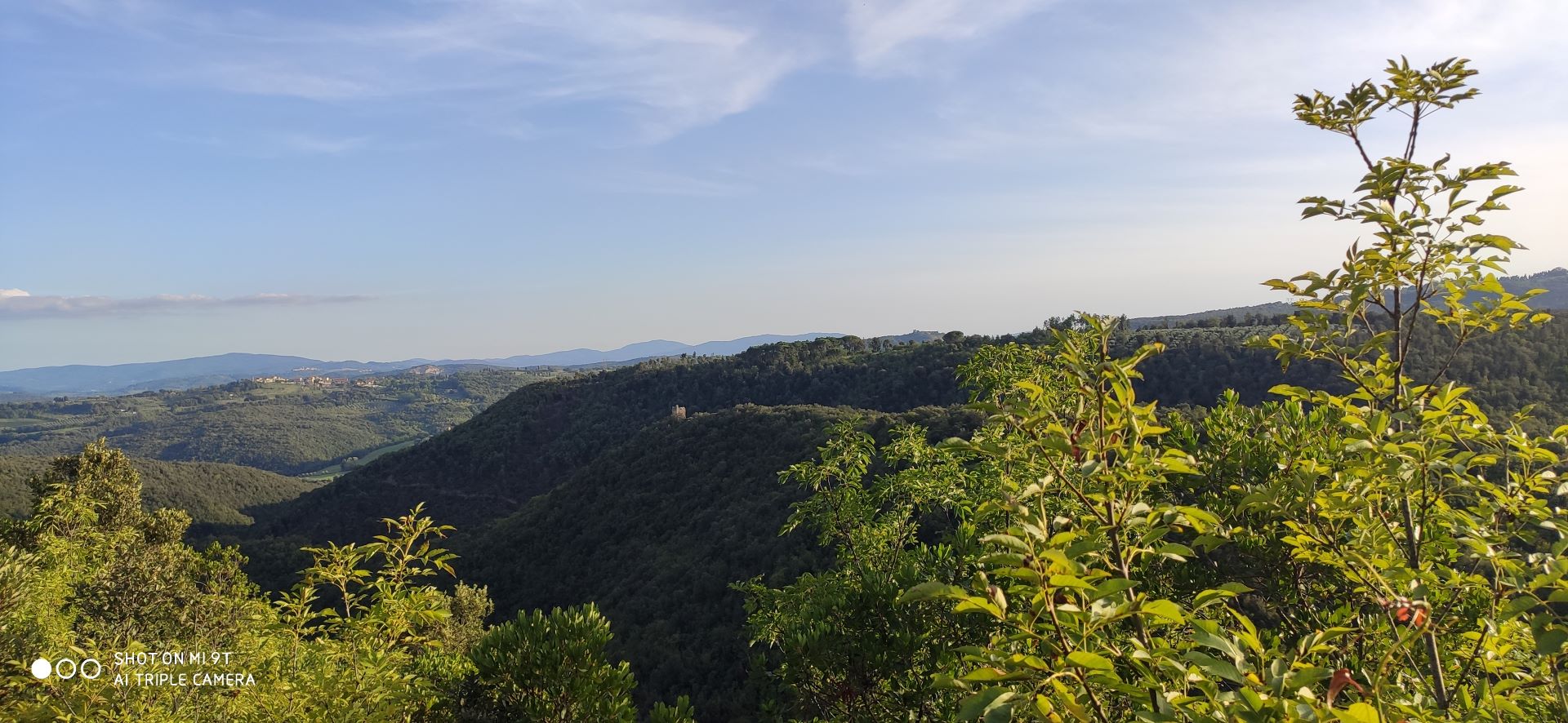 Visita alla riserva di Castelvecchio di San Gimignano