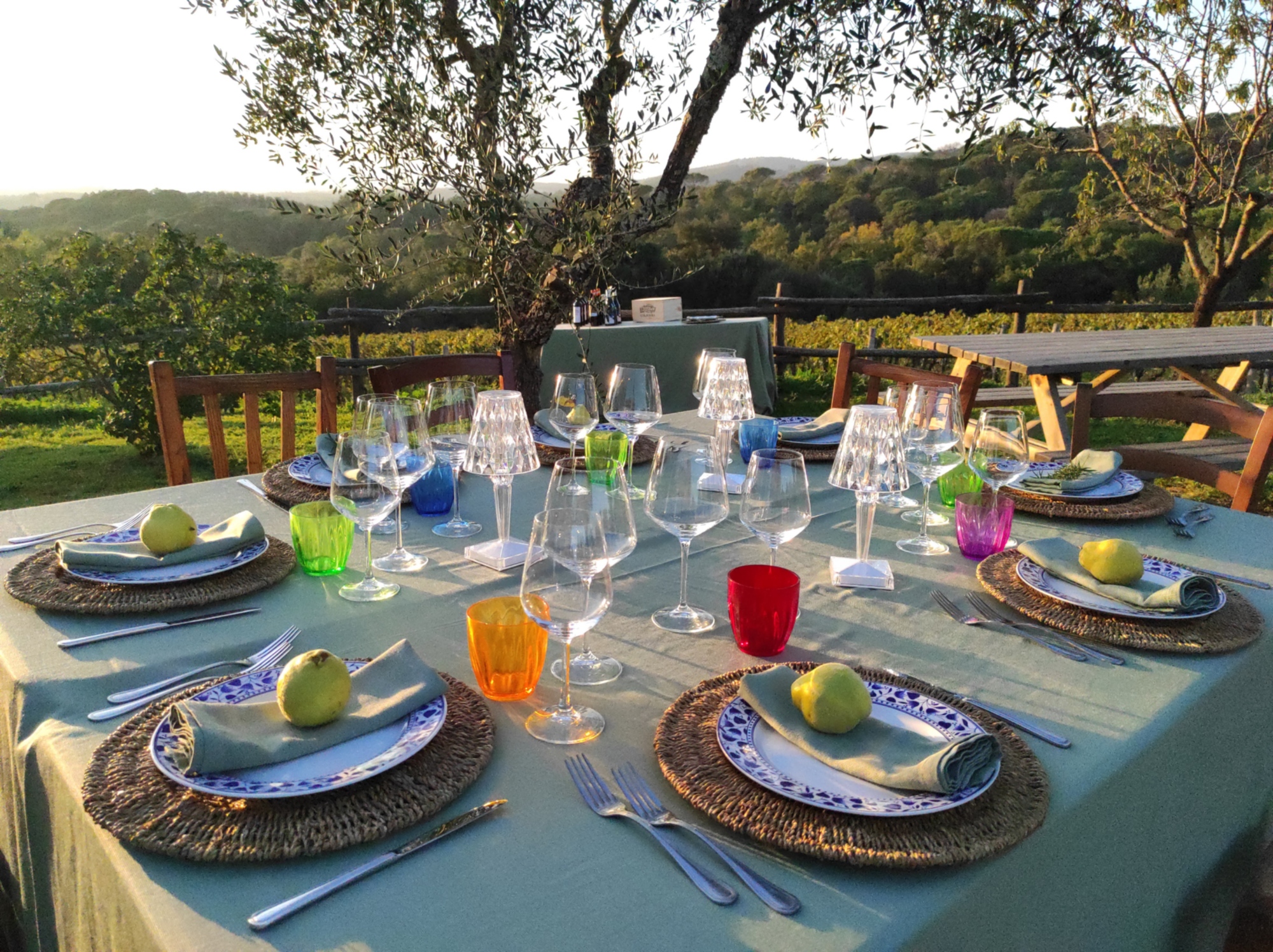 Chianti Sunset Vineyard Dinner