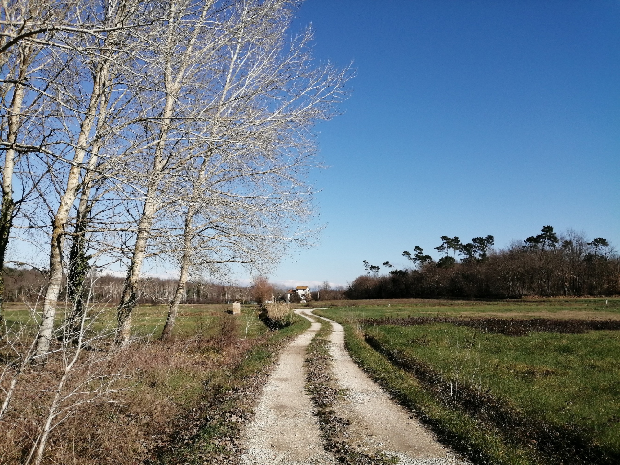 Trekking sulla Via Francigena a Galleno e sulle colline delle Cerbaie