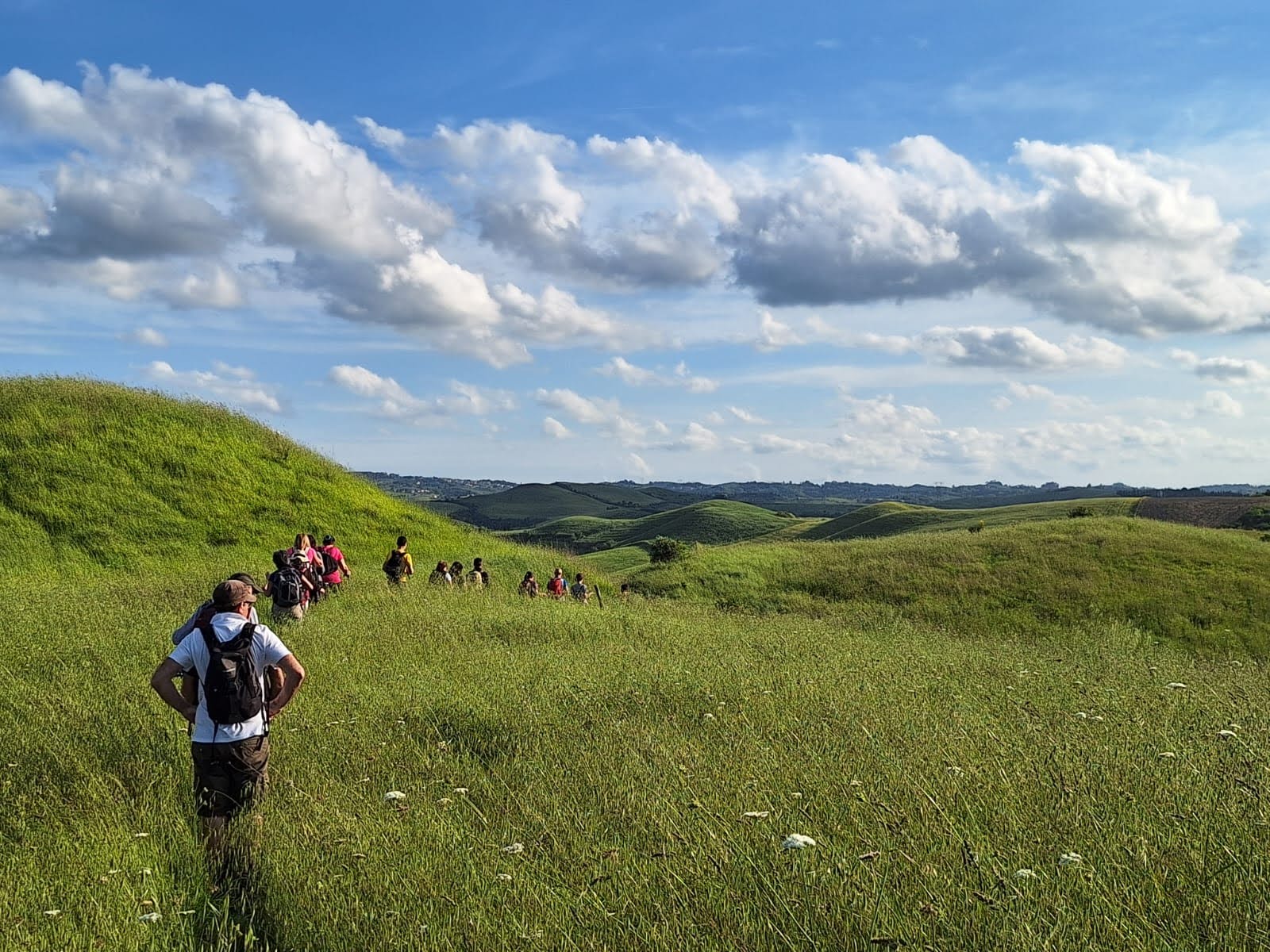 Wine trek: la Via Francigena e il Castello di Coiano