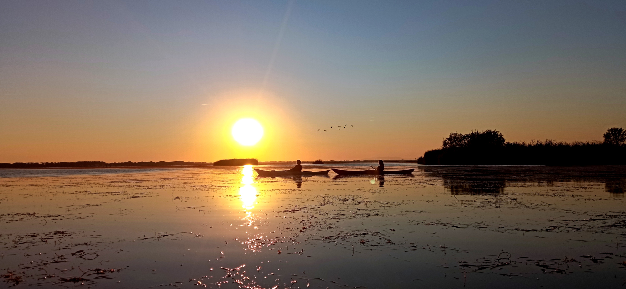 Due persone pagaiano in canoa sul Lago di Massaciuccoli al tramonto, con il sole basso all'orizzonte che si riflette sull'acqua calma tra vegetazione acquatica e canneti