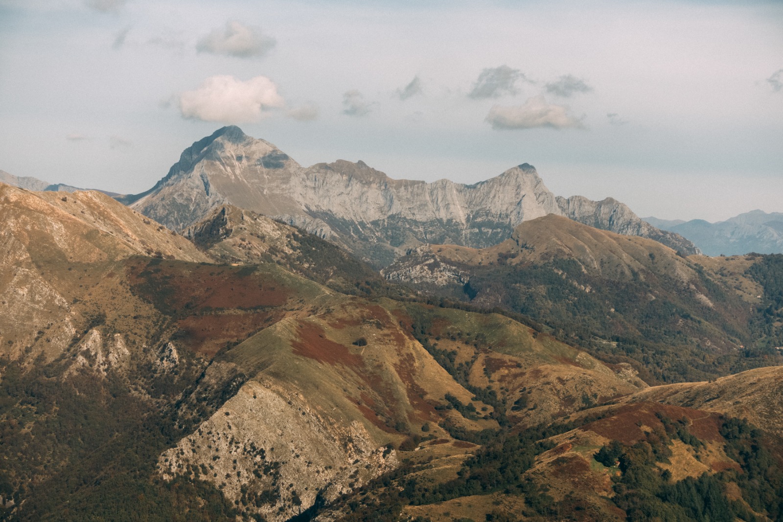 Panorama delle Apuane meridionali con cime rocciose dolomitiche, boschi verdi e prati d'alta quota che si estendono fino all'orizzonte sotto un cielo parzialmente nuvoloso
