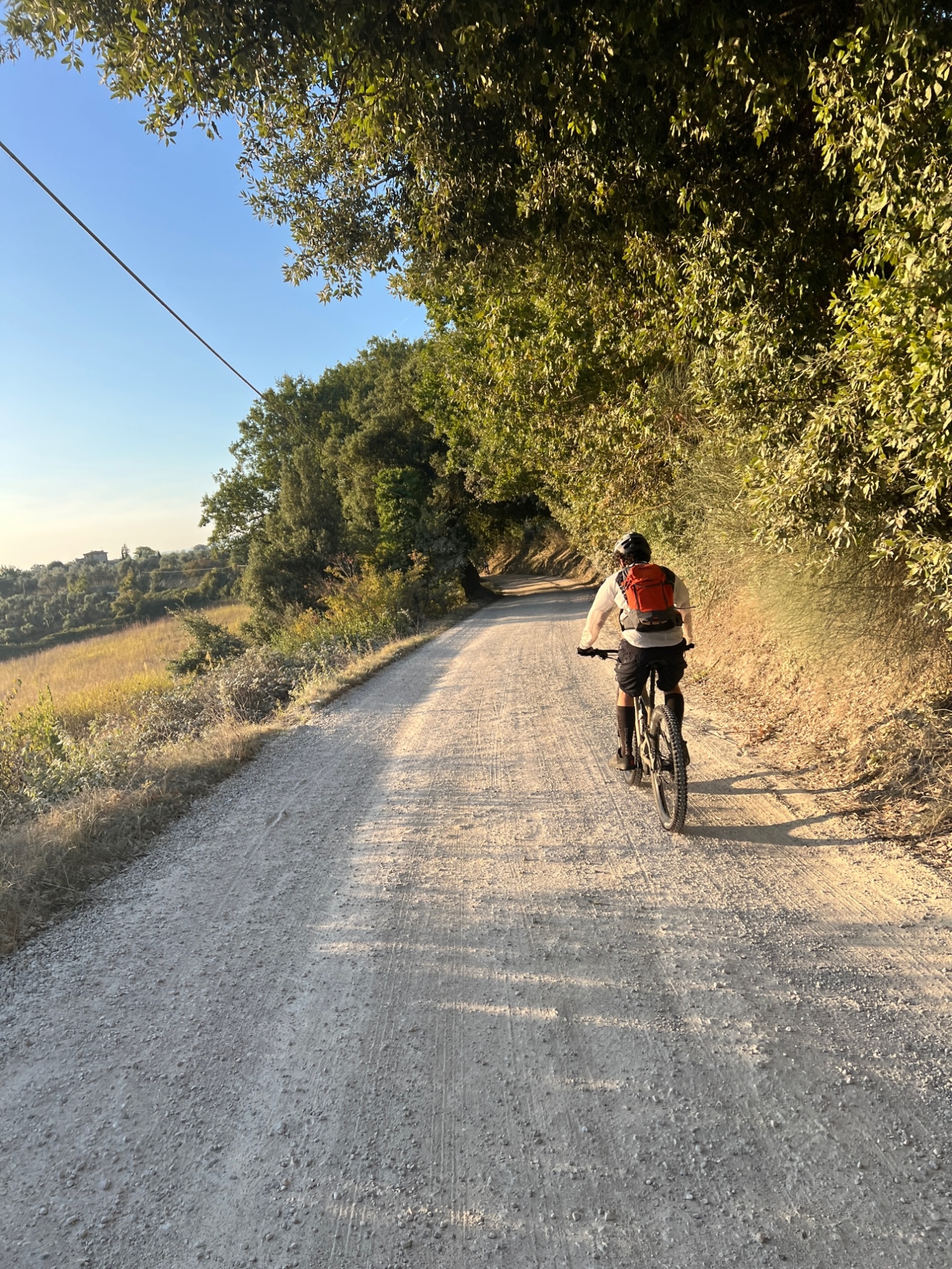 Via Francigena by bike from San Miniato to Siena 