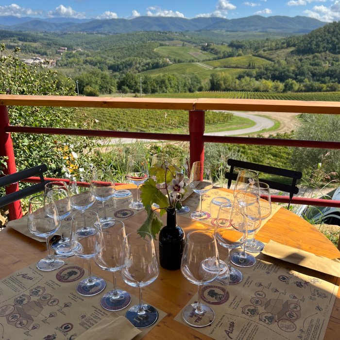 Motorcycle sidecar tour in Florence and Chianti Motorcycle sidecar tour in Florence and Chianti