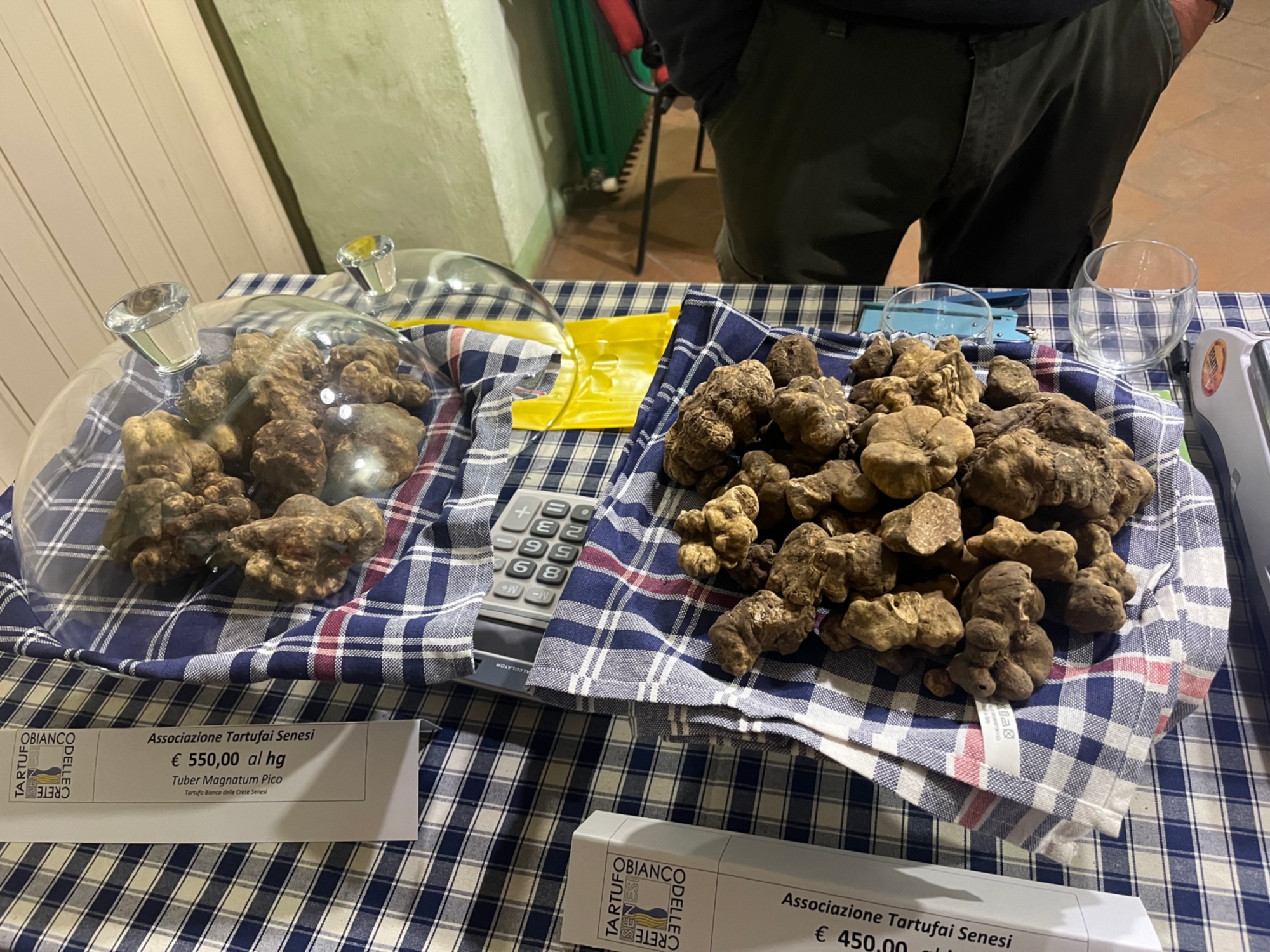 Tartufo bianco