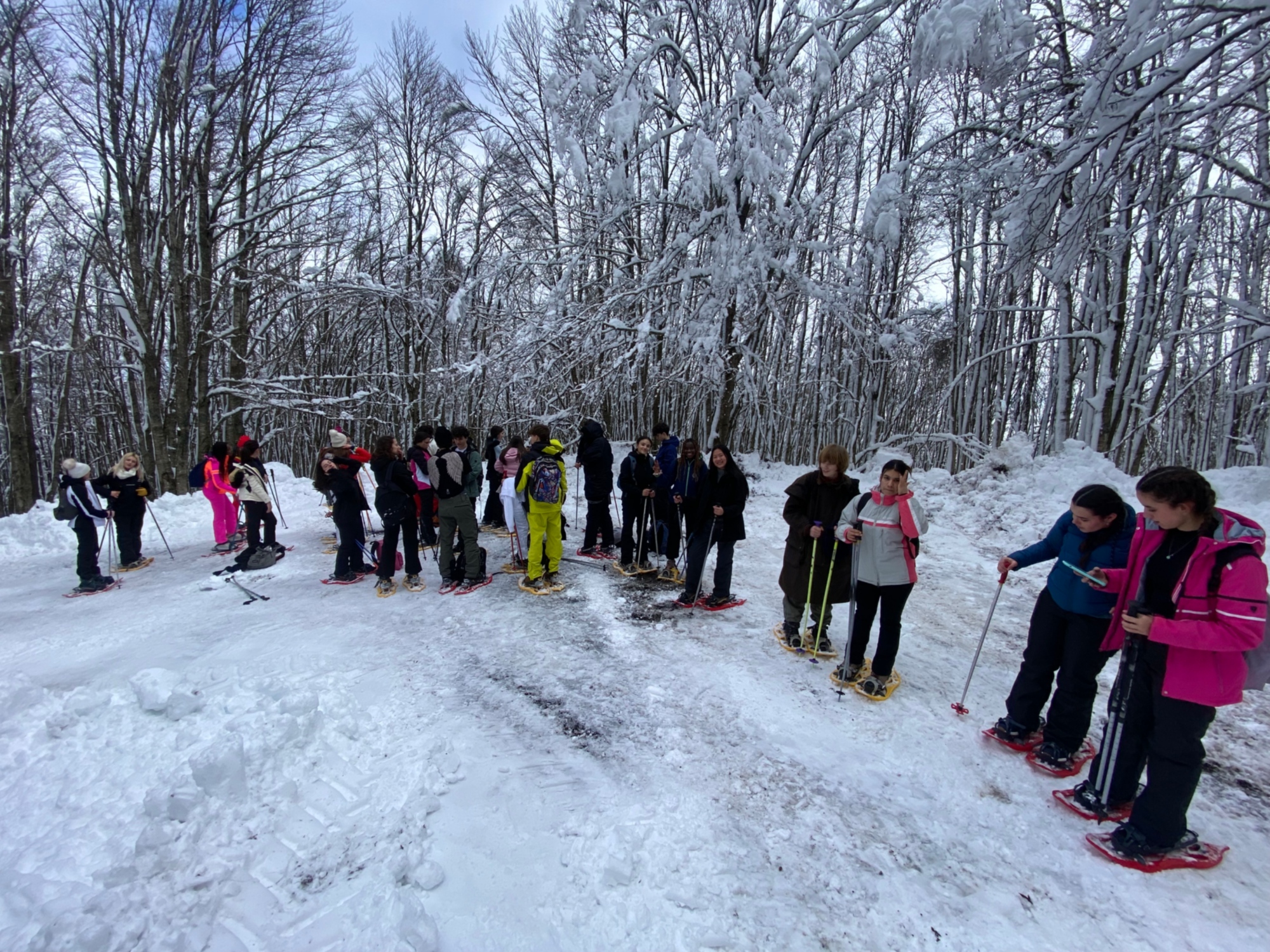Escursioni sulla neve con le ciaspole
