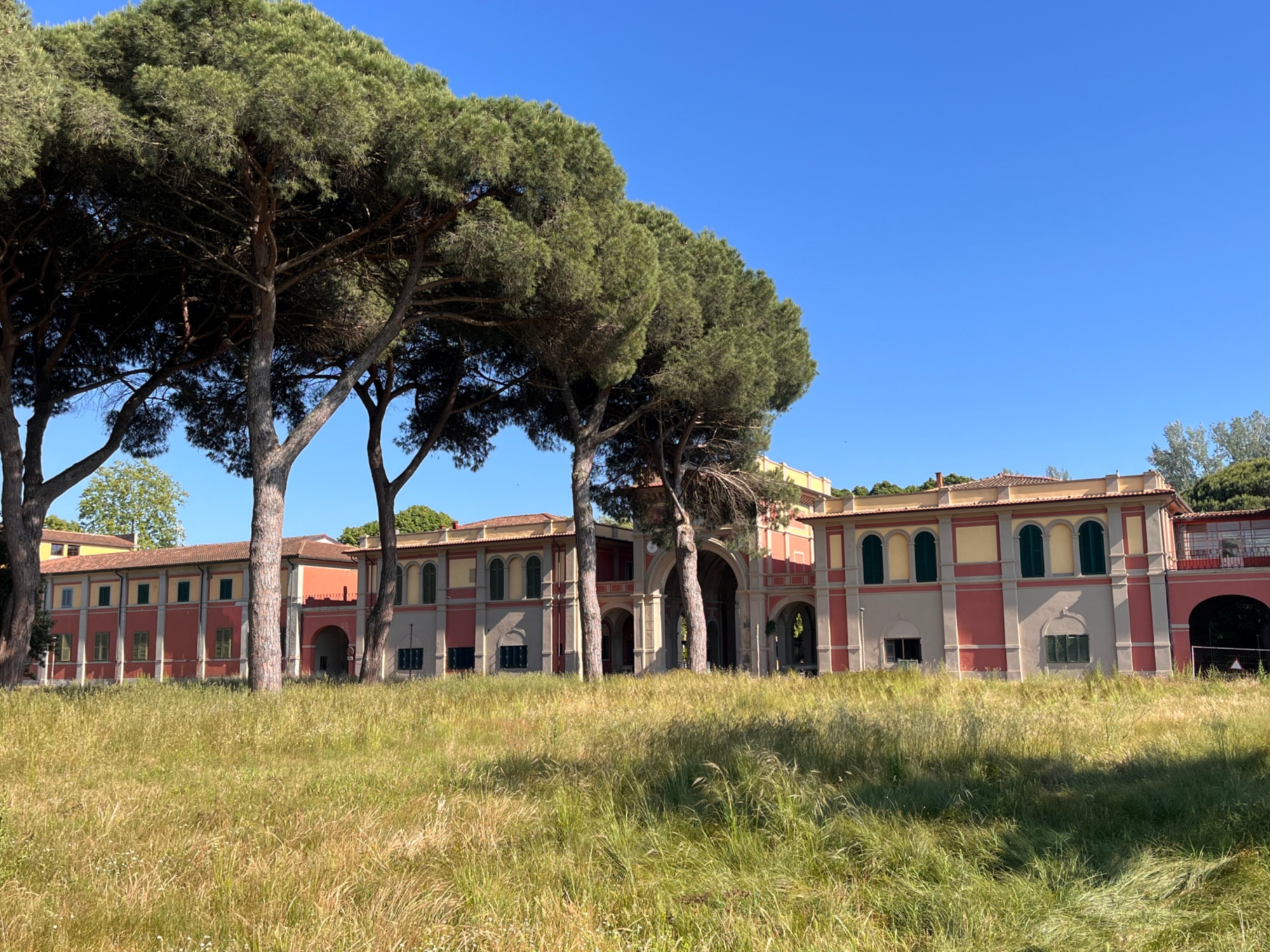 San Rossore: trekking tra Cascine Vecchie e Cascine Nuove