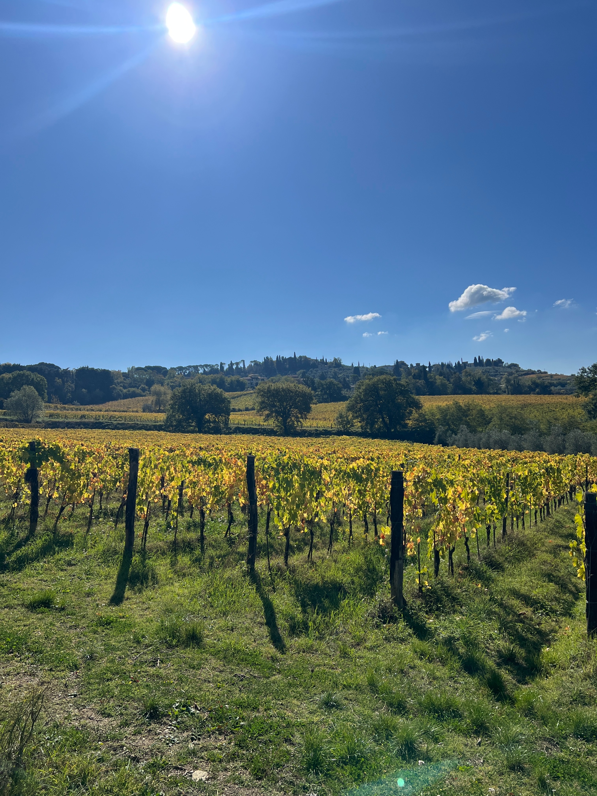 Wine tour nel Chianti Classico da Firenze