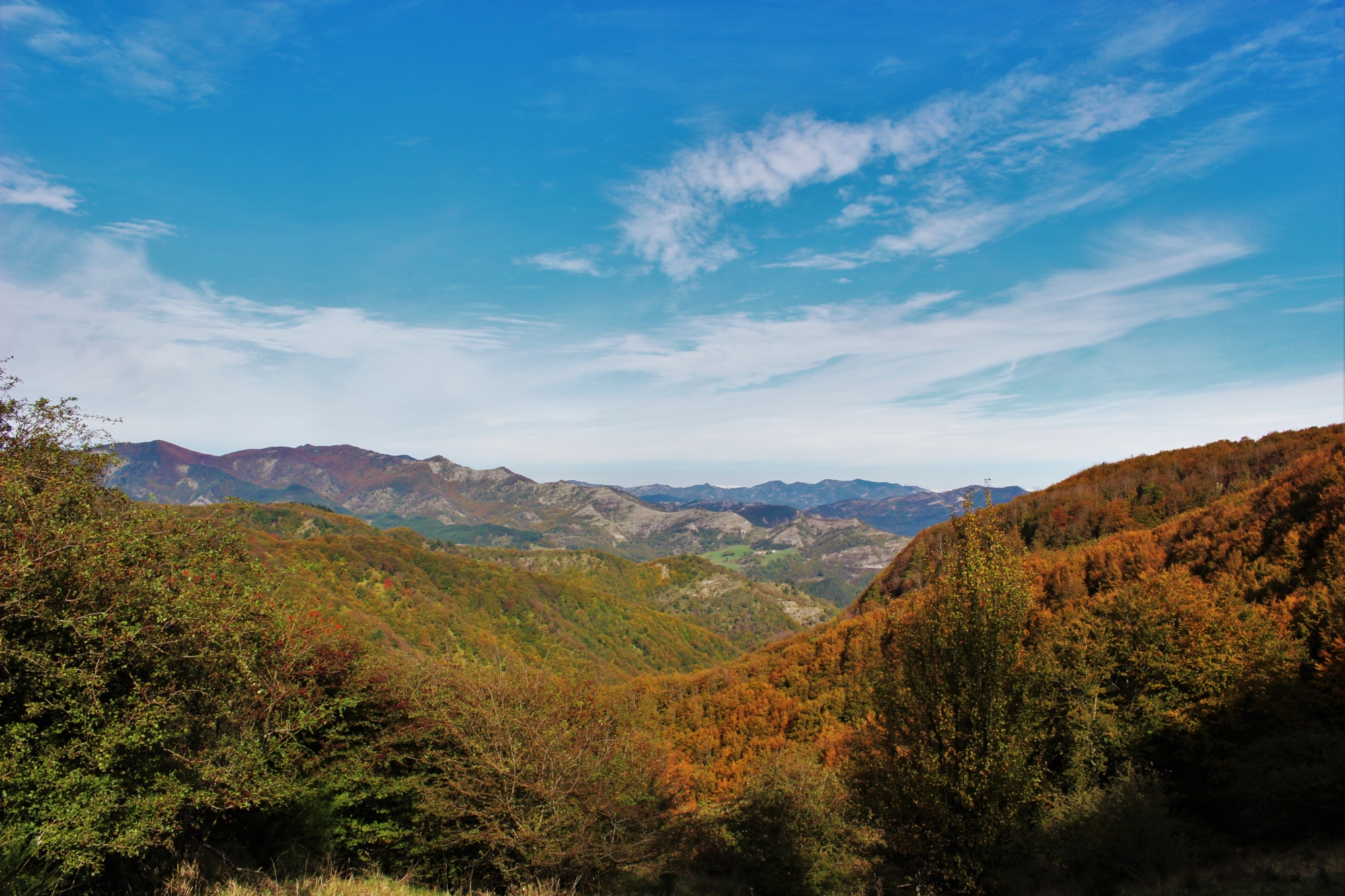 Otoño en Mugello